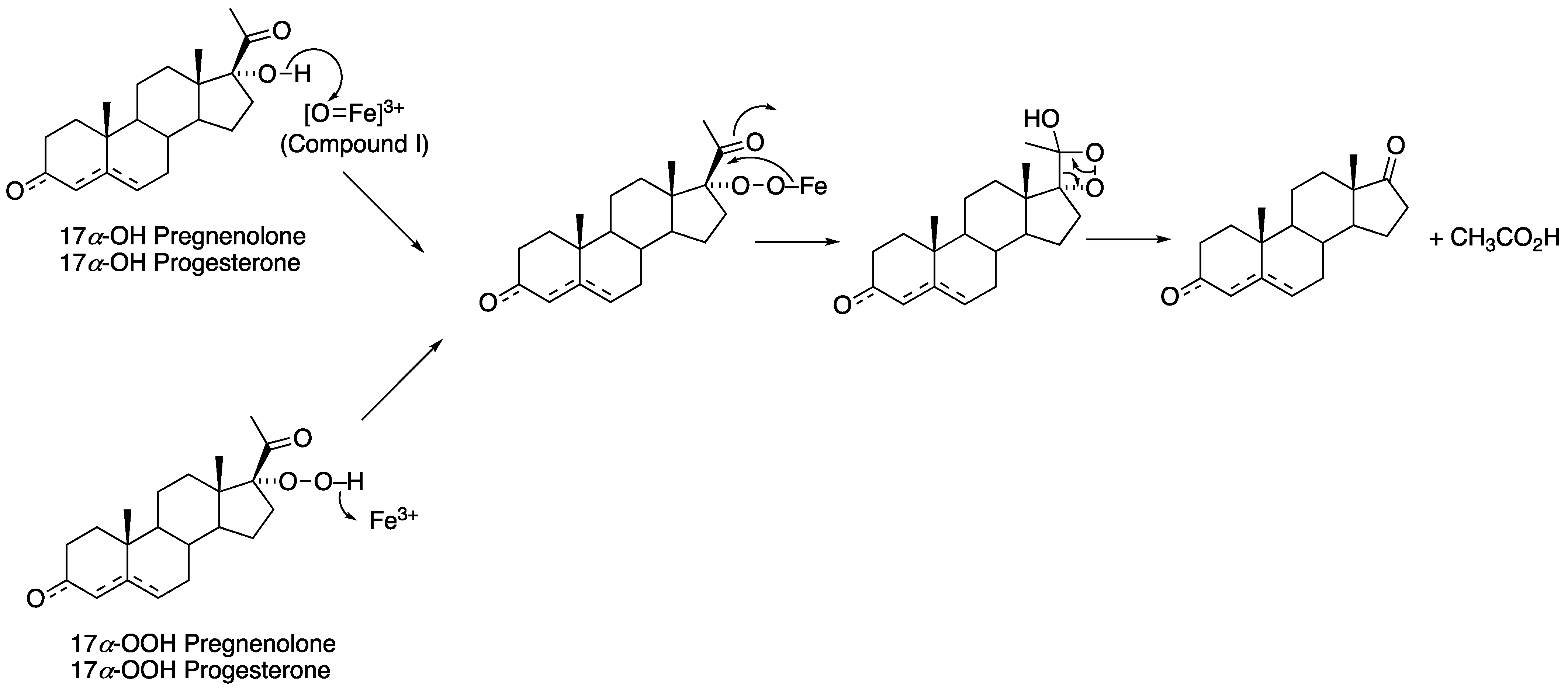 Ijms 25 09020 g017 Ijms 25 09020 g017