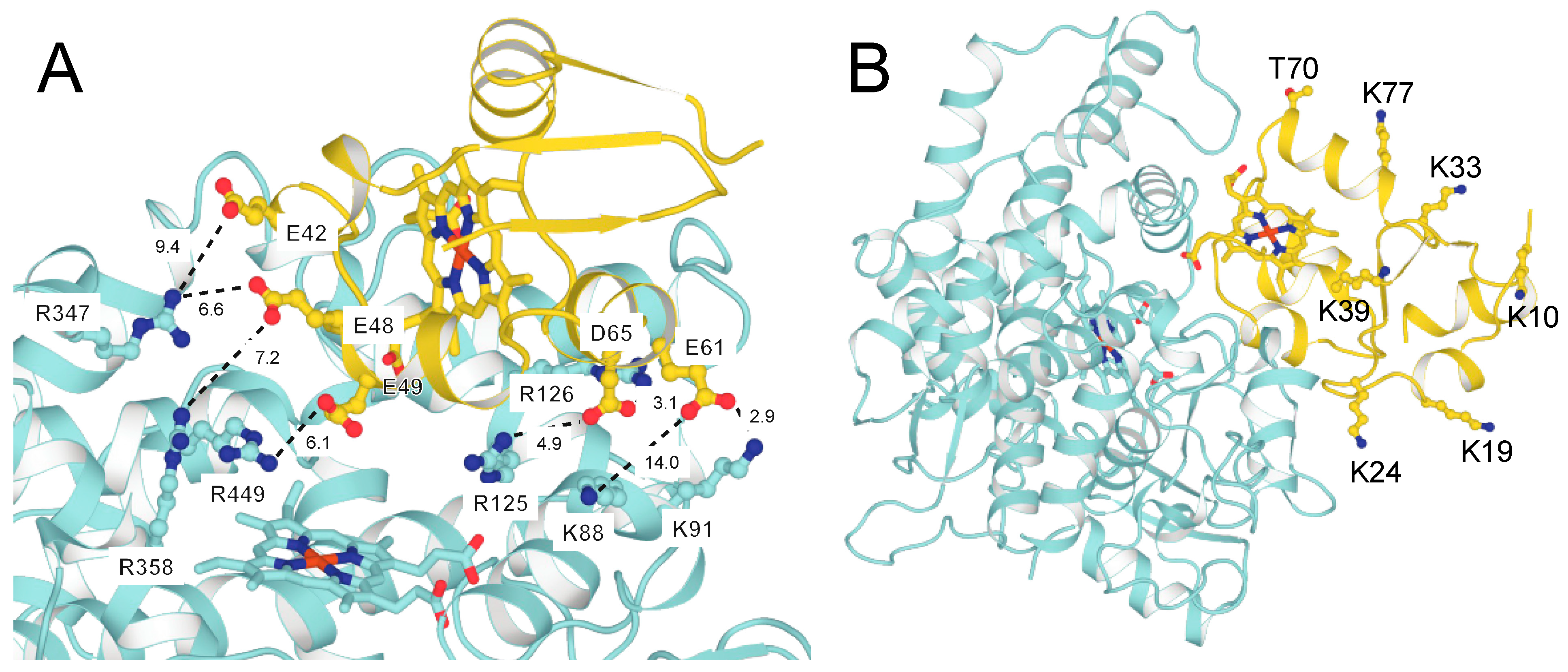 Ijms 25 09020 g020 Ijms 25 09020 g020