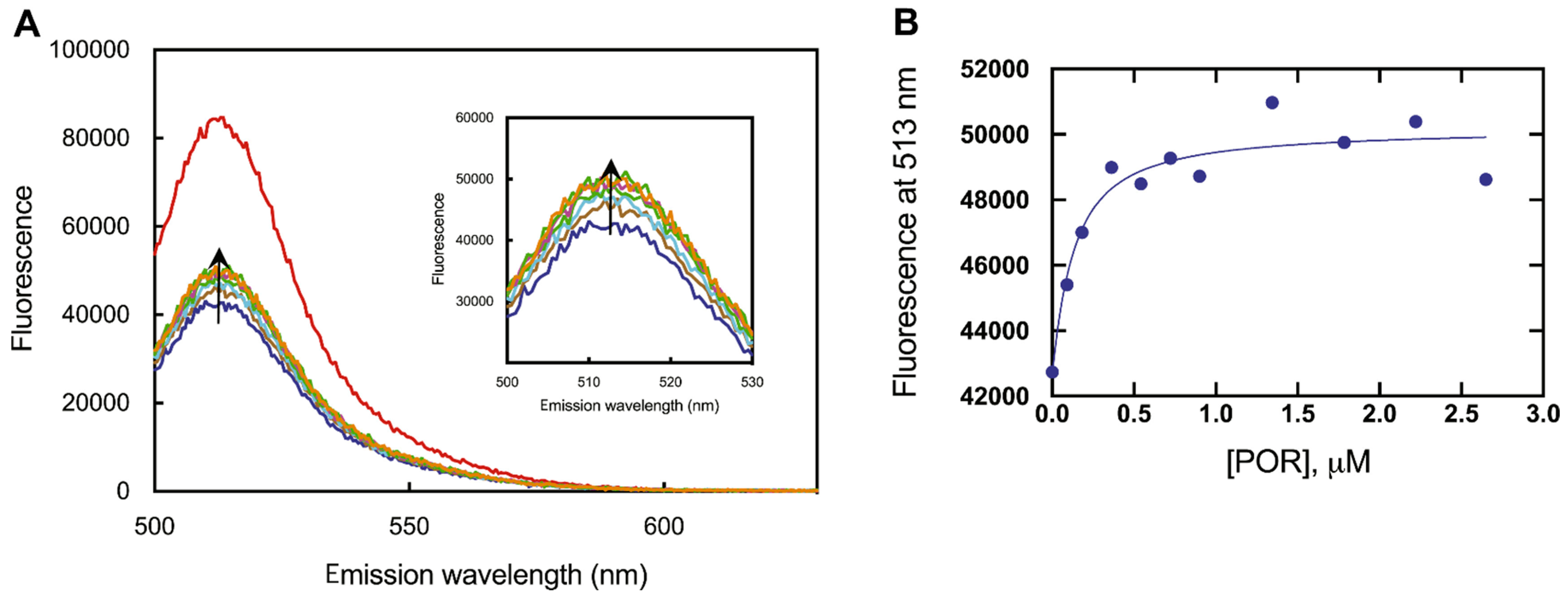 Ijms 25 09020 g021 Ijms 25 09020 g021