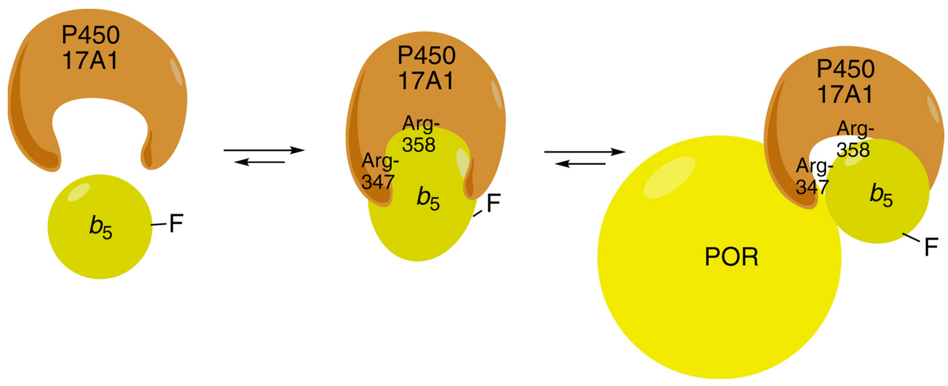 Ijms 25 09020 g023 Ijms 25 09020 g023