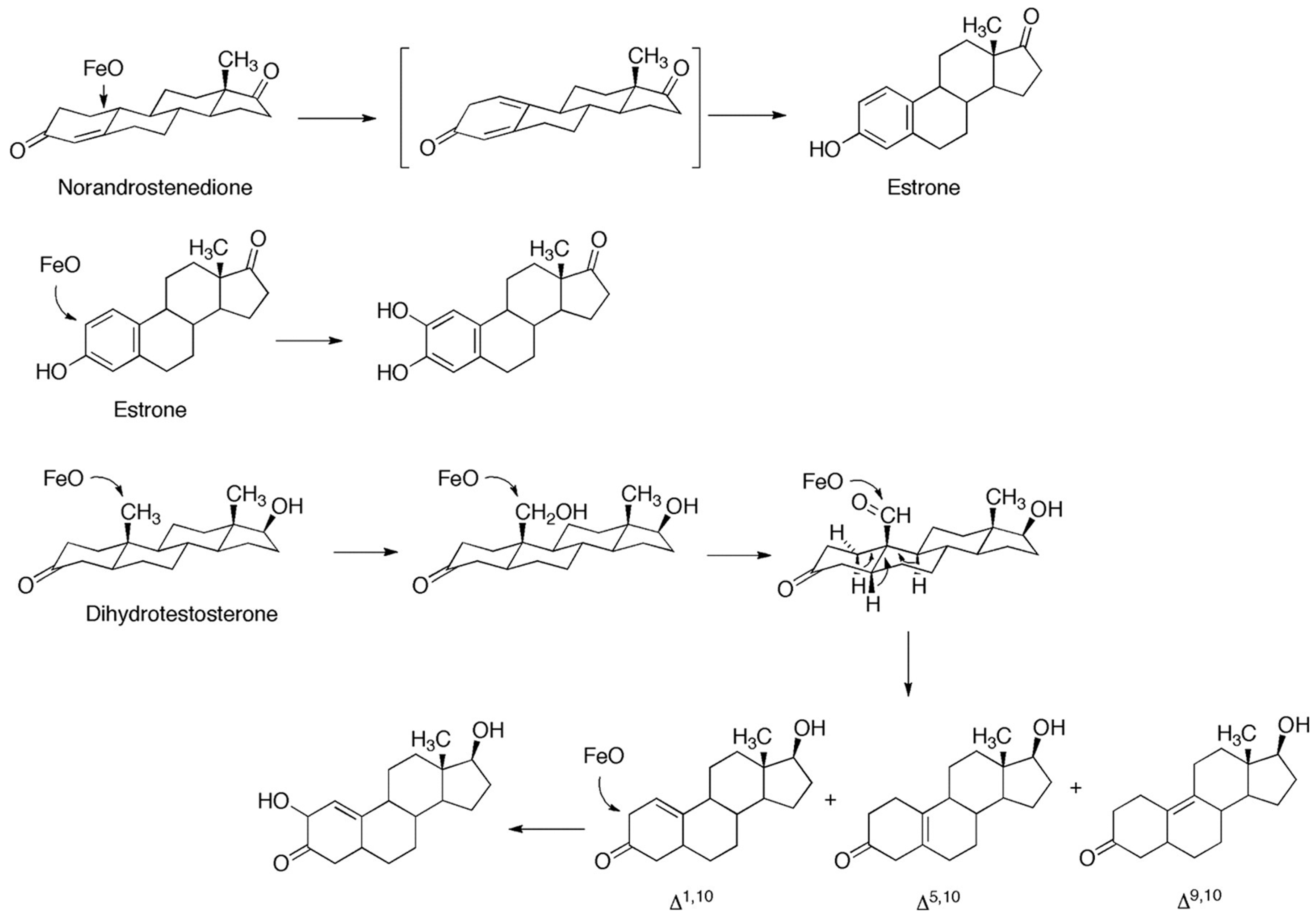 Ijms 25 09020 g025 Ijms 25 09020 g025