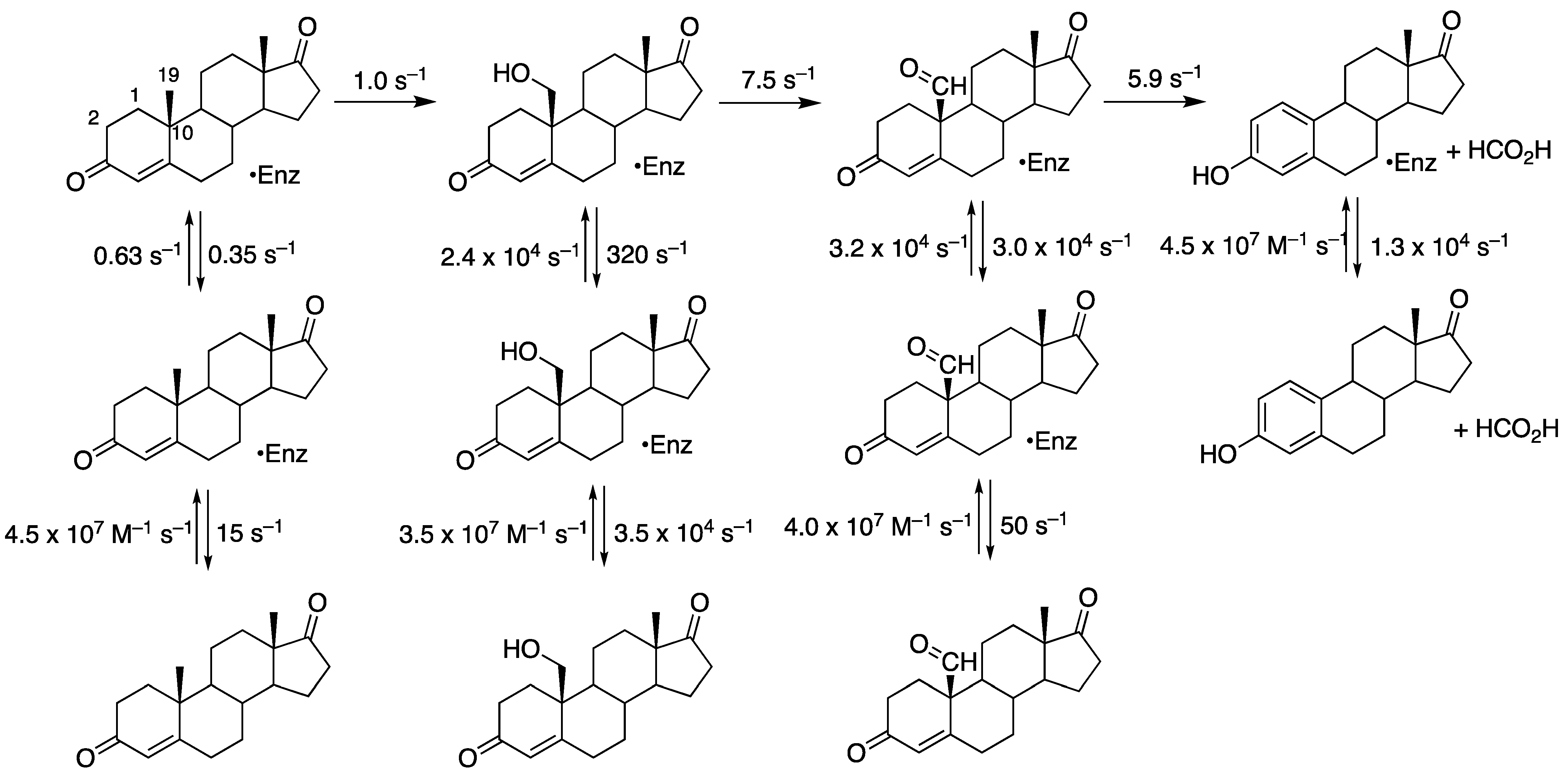 Ijms 25 09020 g027 Ijms 25 09020 g027