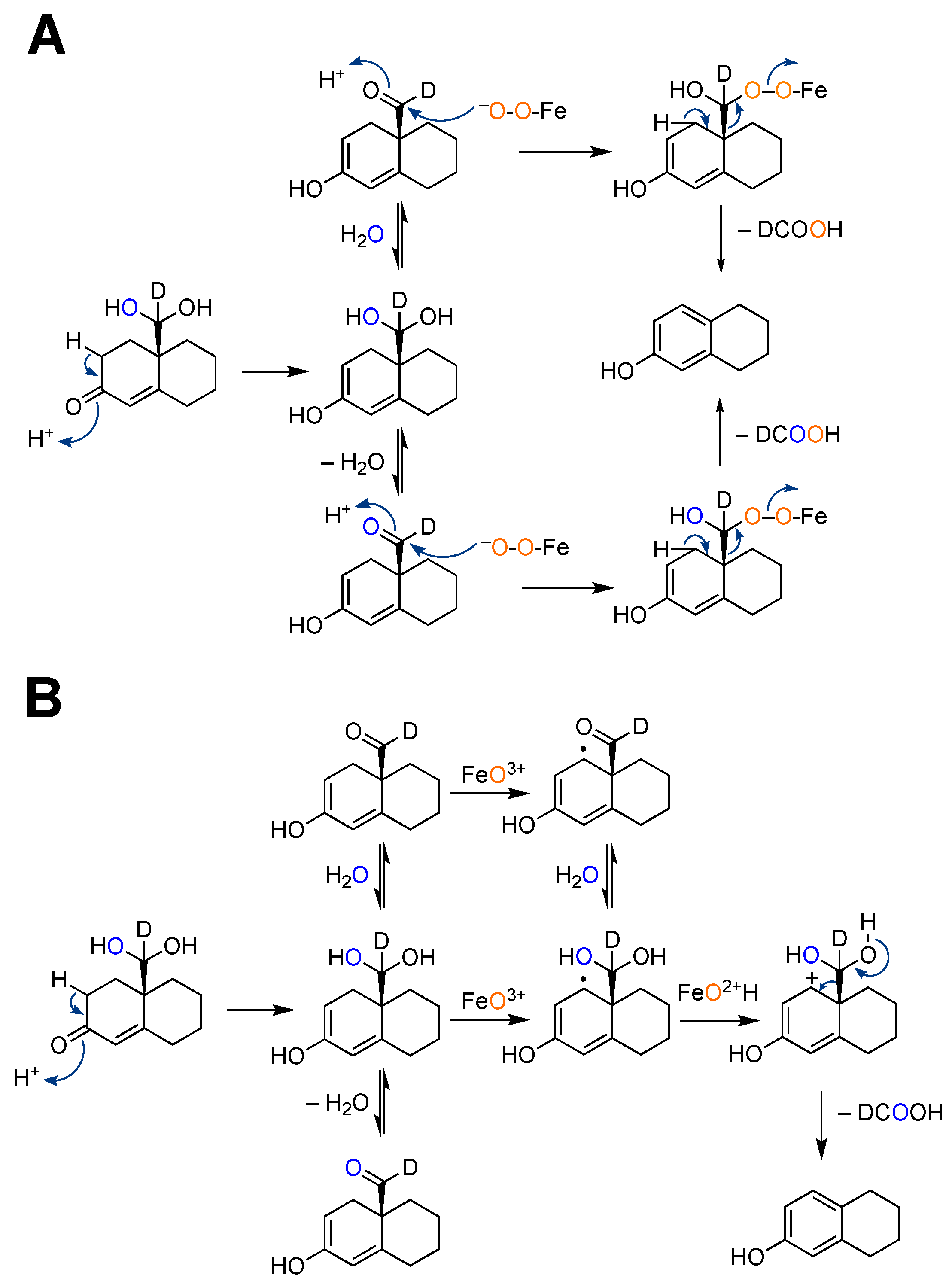 Ijms 25 09020 g028 Ijms 25 09020 g028