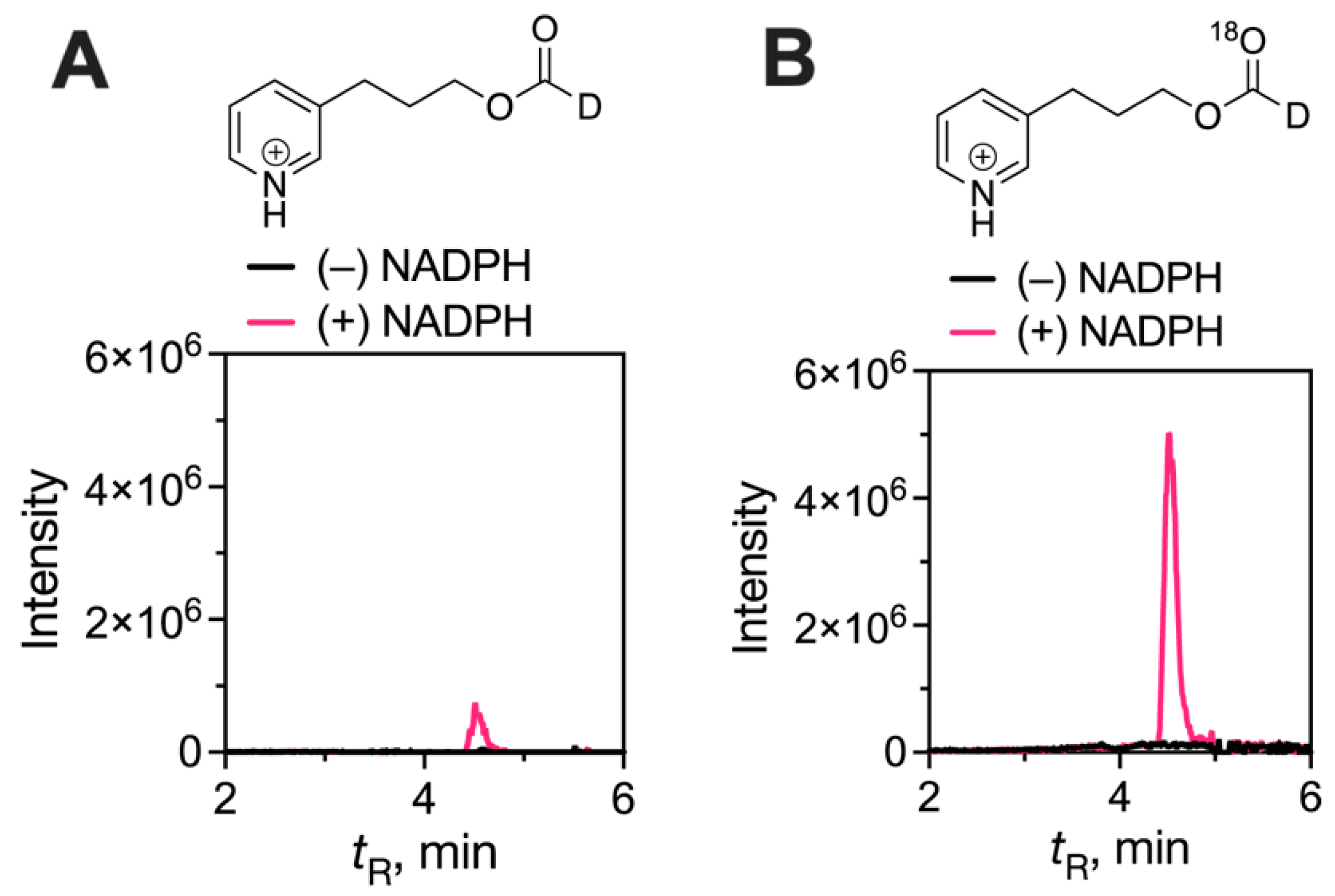 Ijms 25 09020 g031 Ijms 25 09020 g031