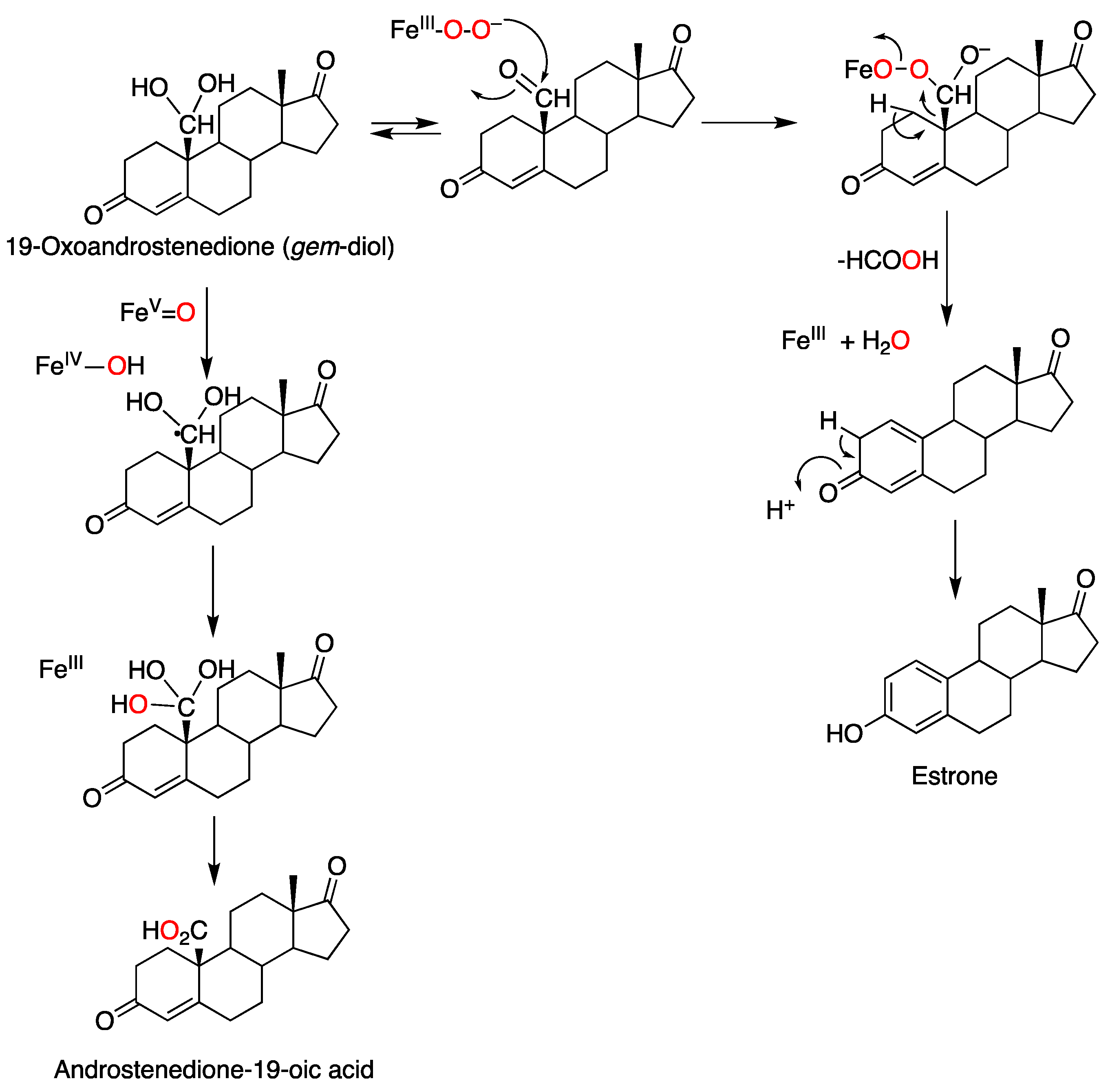 Ijms 25 09020 g032 Ijms 25 09020 g032