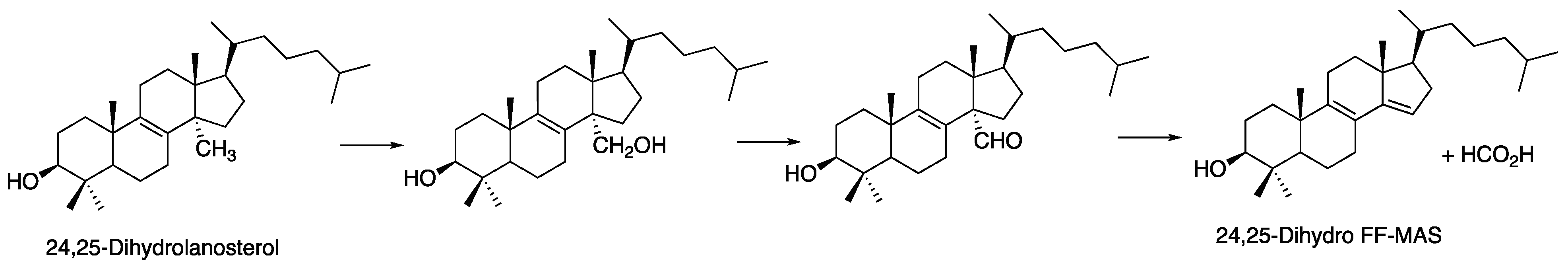 Ijms 25 09020 g033 Ijms 25 09020 g033