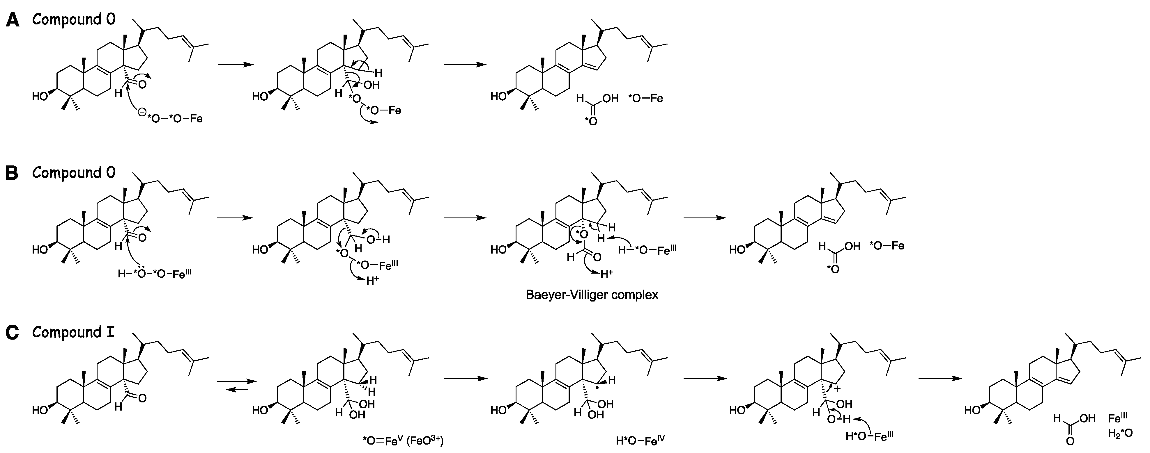 Ijms 25 09020 g036 Ijms 25 09020 g036
