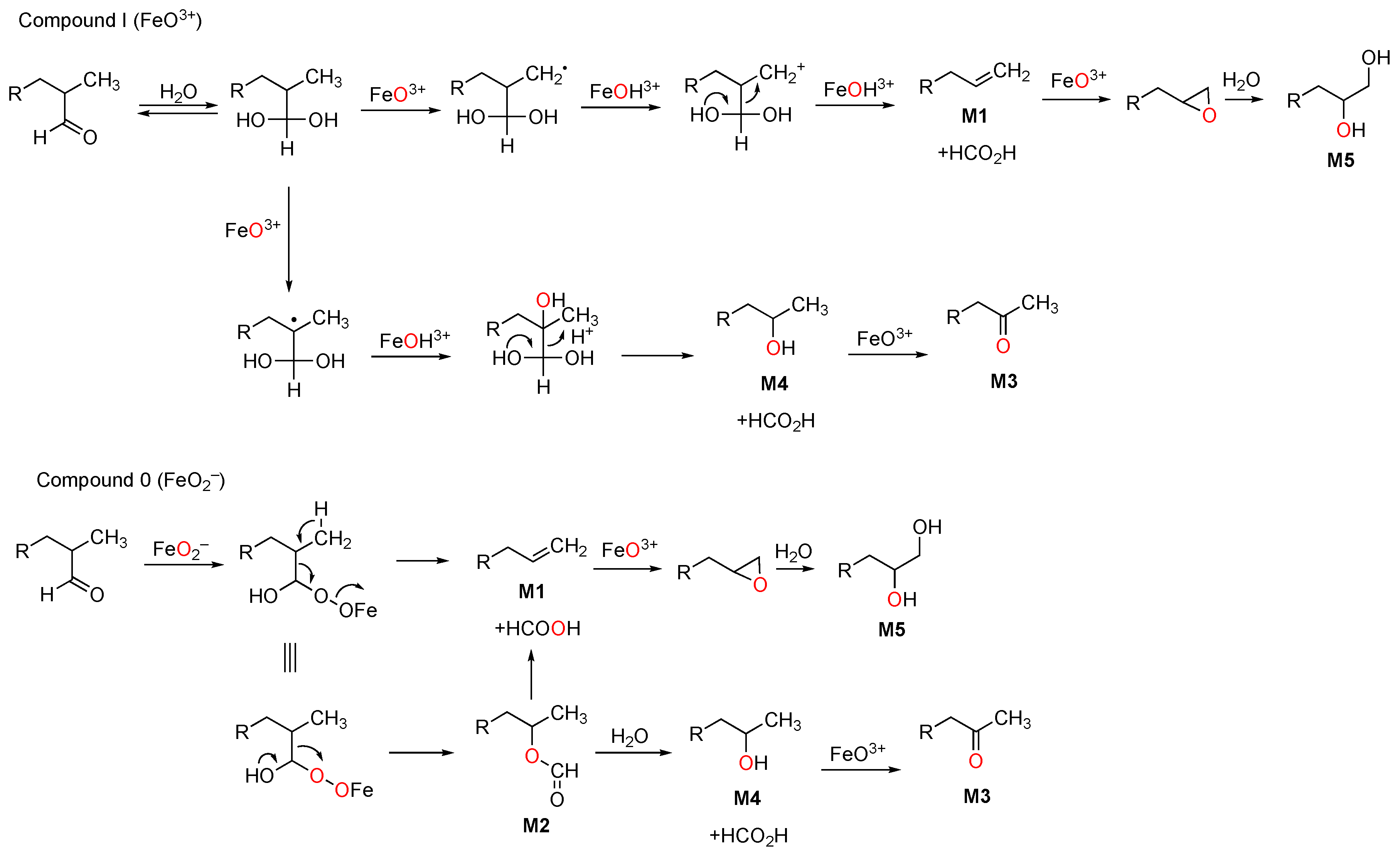 Ijms 25 09020 g041 Ijms 25 09020 g041