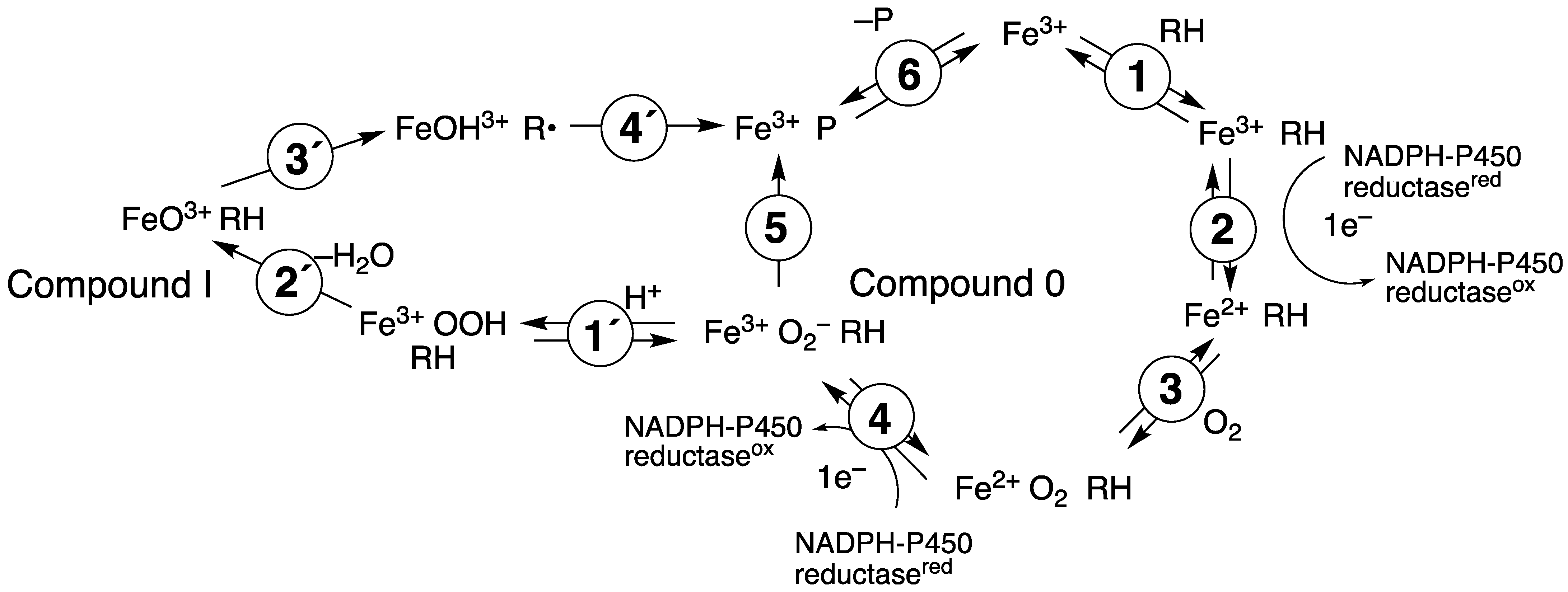 Ijms 25 09020 g042 Ijms 25 09020 g042
