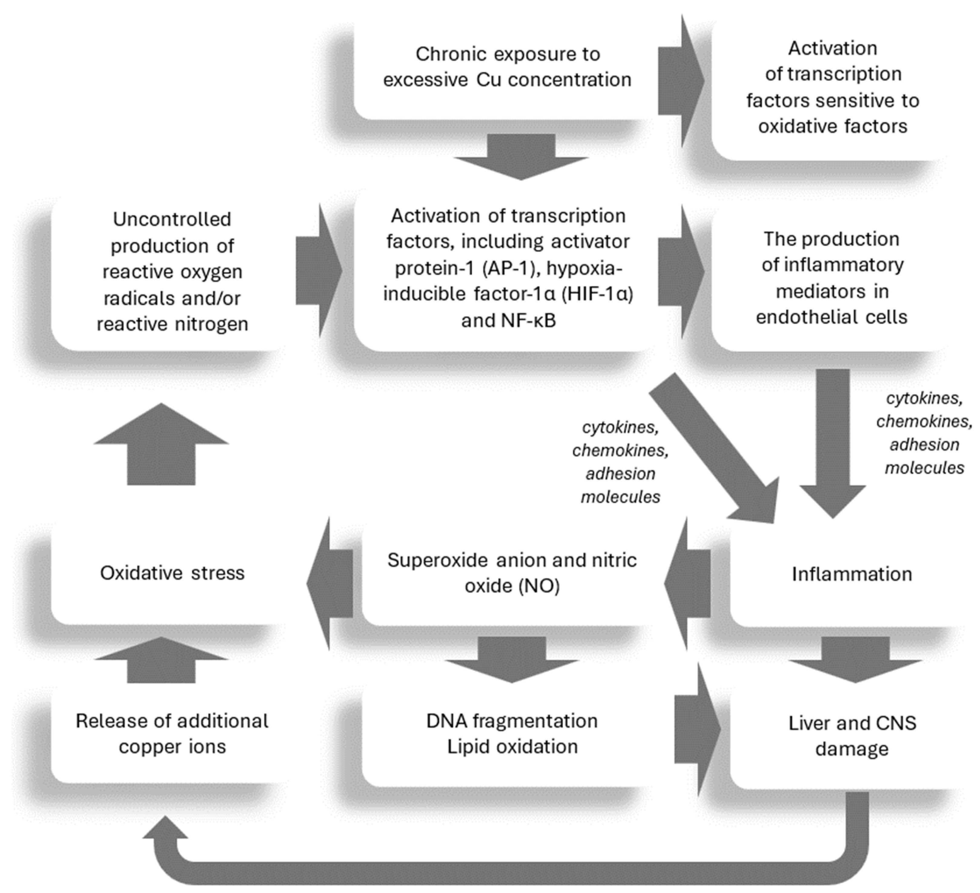 Ijms 25 09034 g001 Ijms 25 09034 g001