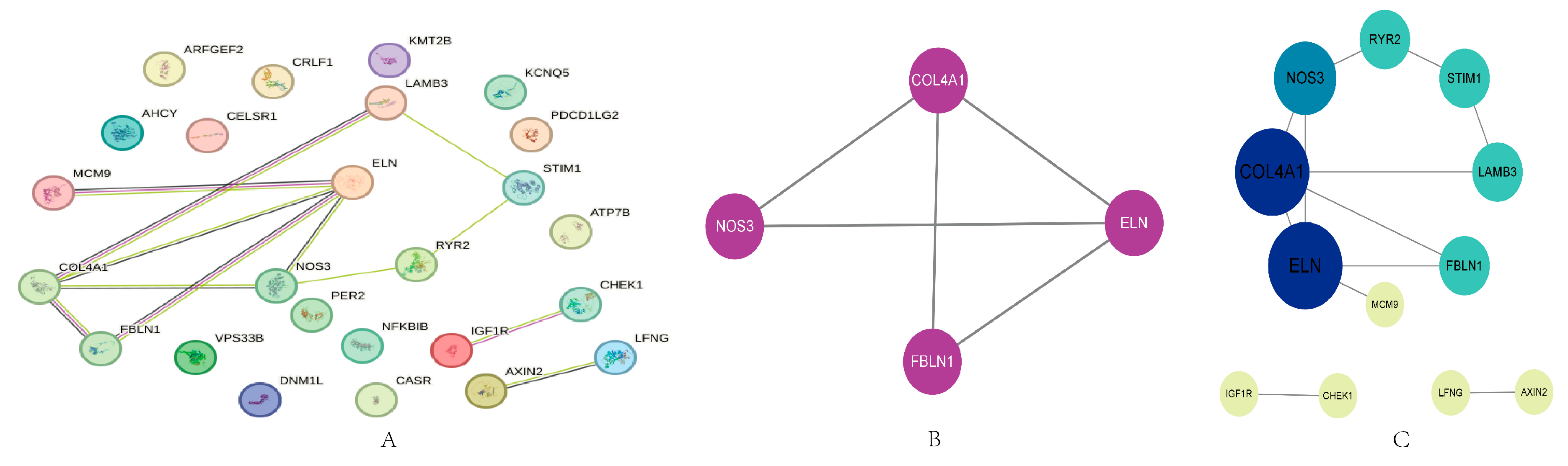 Ijms 25 09036 g003 Ijms 25 09036 g003