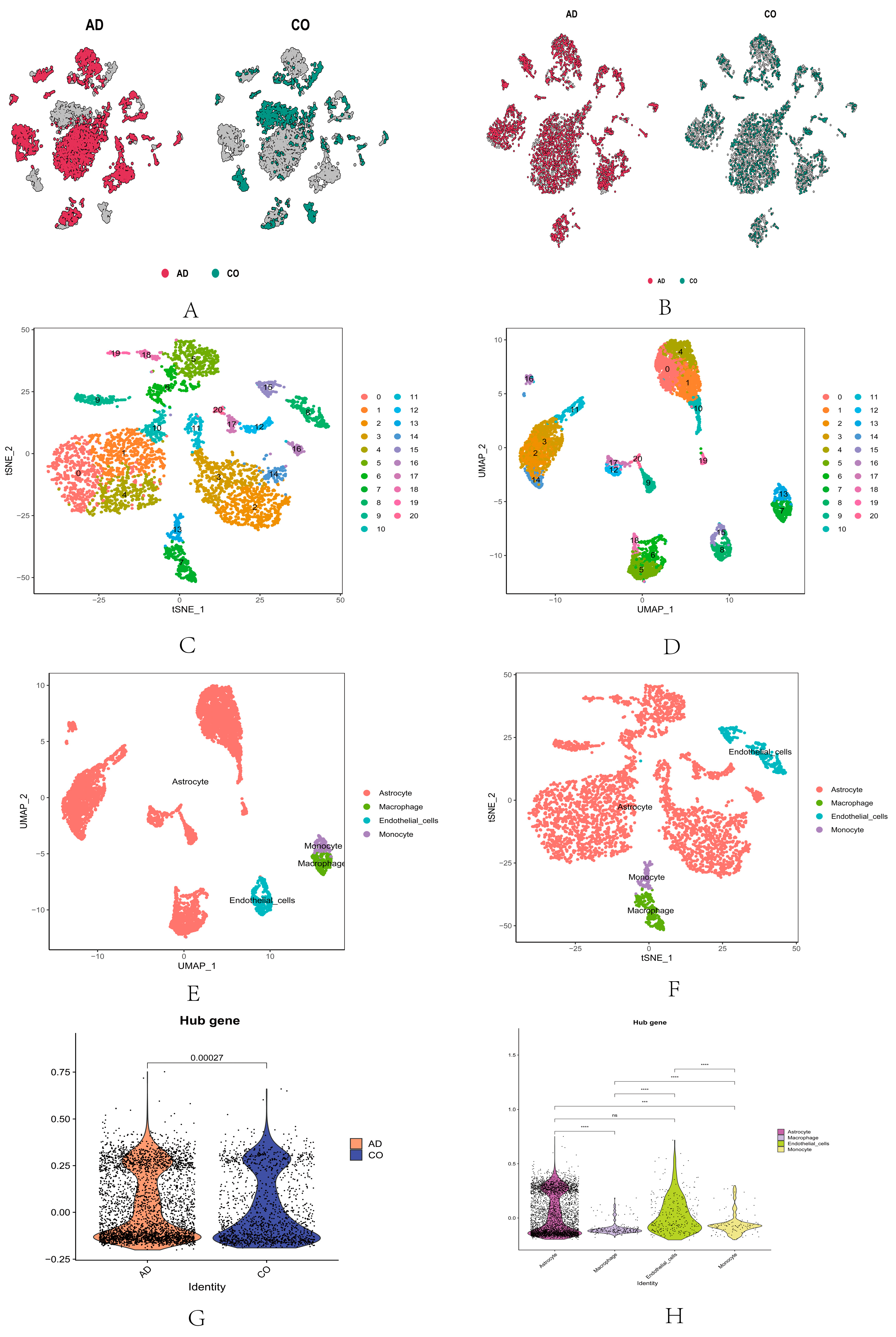 Ijms 25 09036 g004 Ijms 25 09036 g004