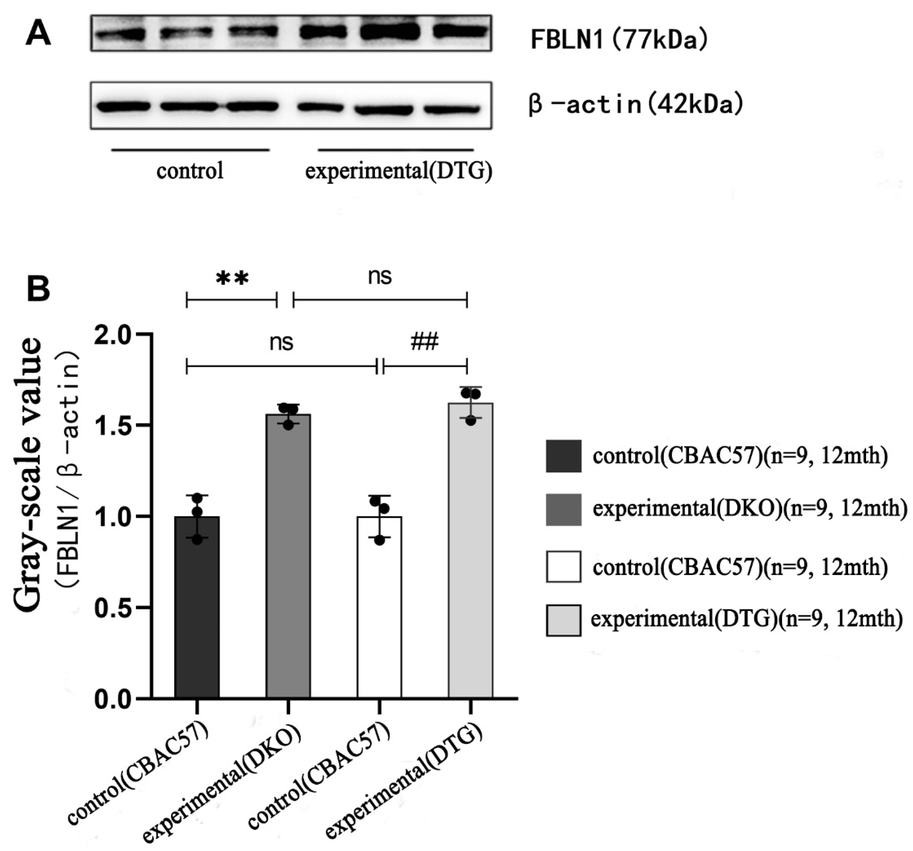 Ijms 25 09036 g009 Ijms 25 09036 g009