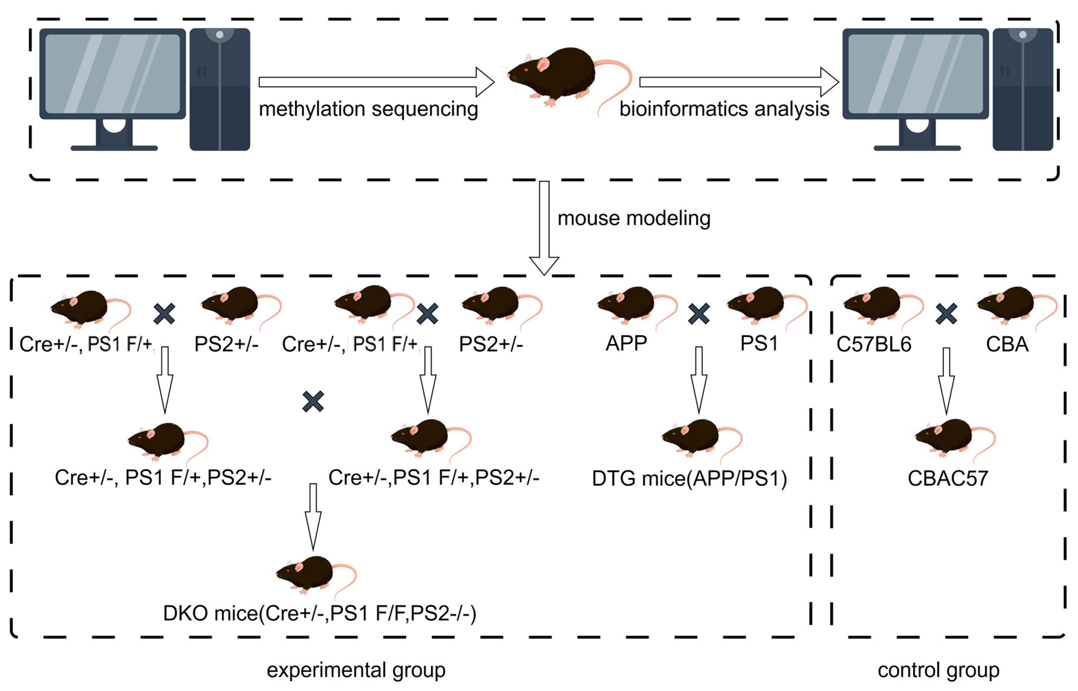 Ijms 25 09036 g010 Ijms 25 09036 g010