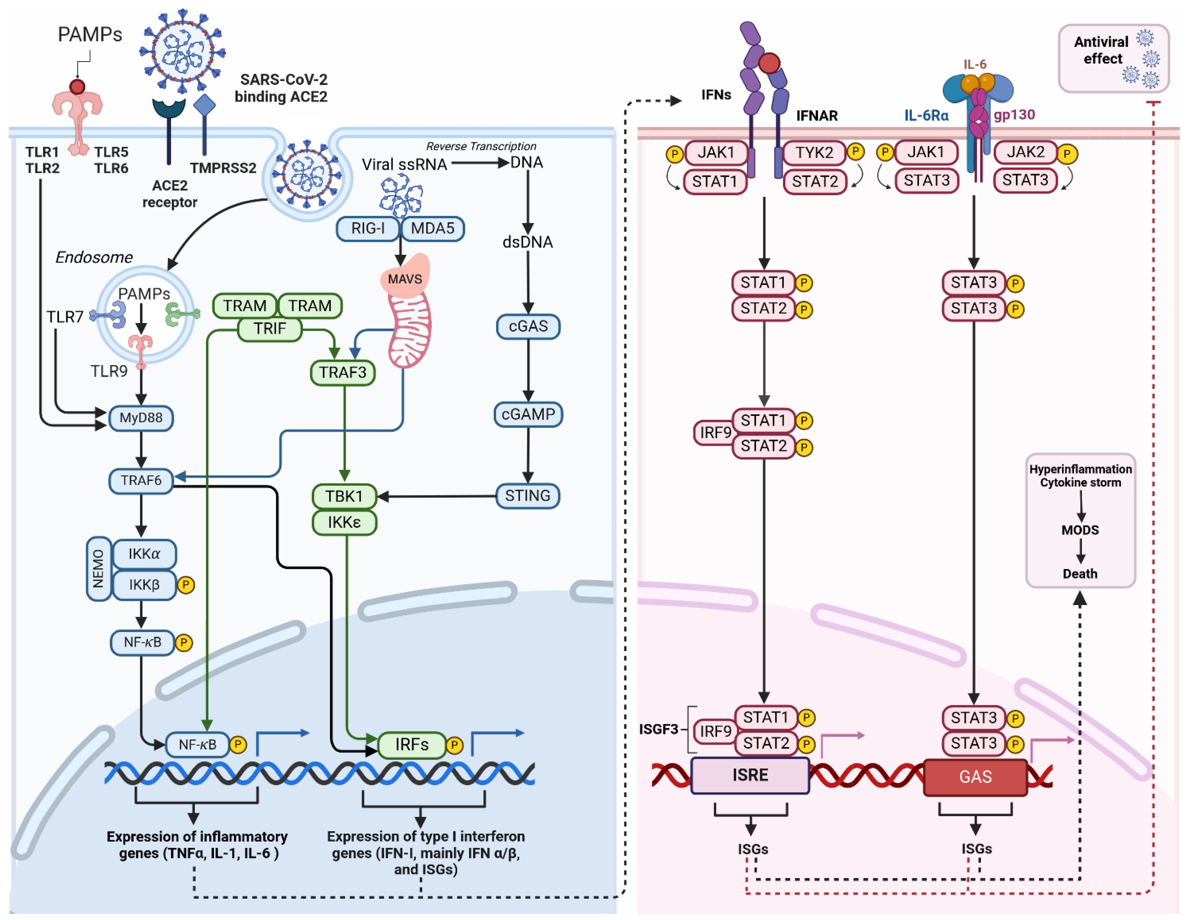 Ijms 25 09050 g002 Ijms 25 09050 g002