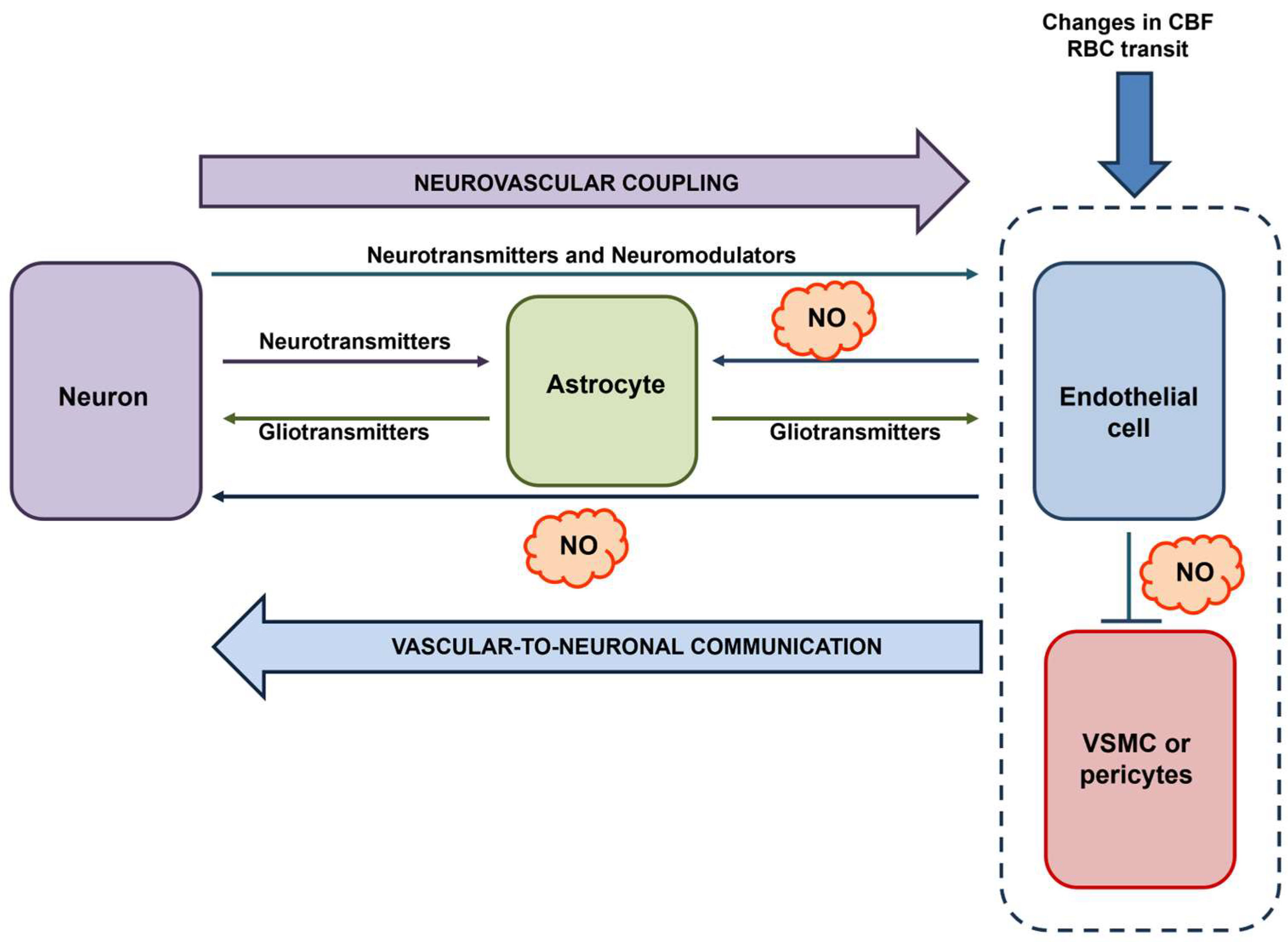 Ijms 25 09071 g004 Ijms 25 09071 g004