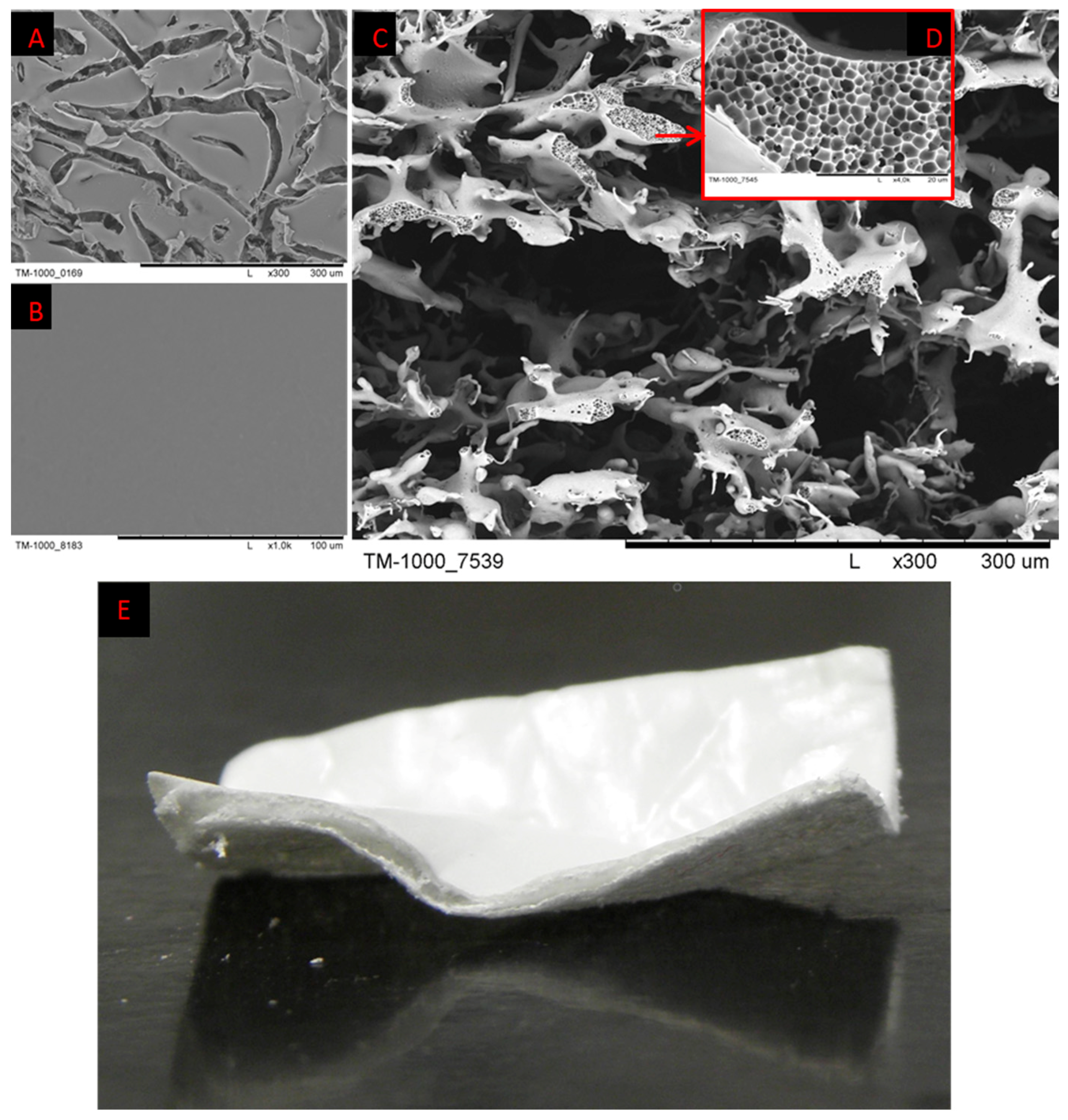 Ijms 25 09075 g007 Ijms 25 09075 g007