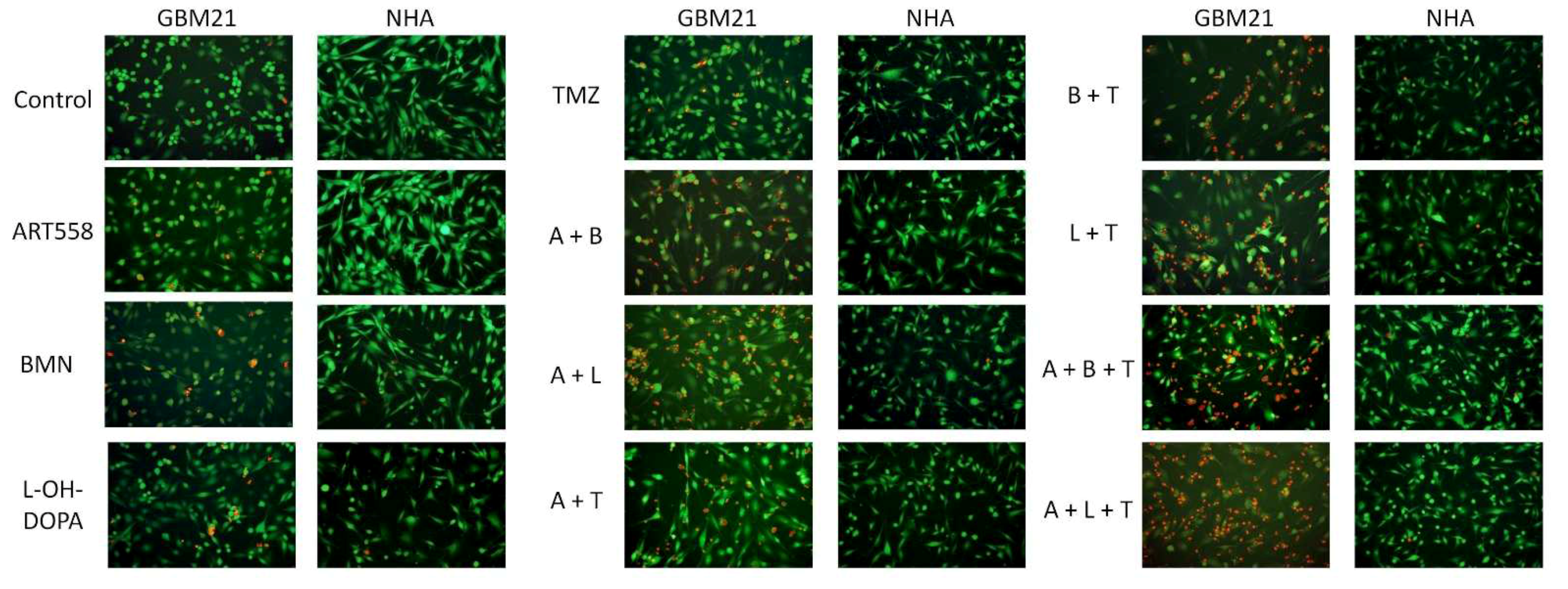 Ijms 25 09134 g002 Ijms 25 09134 g002