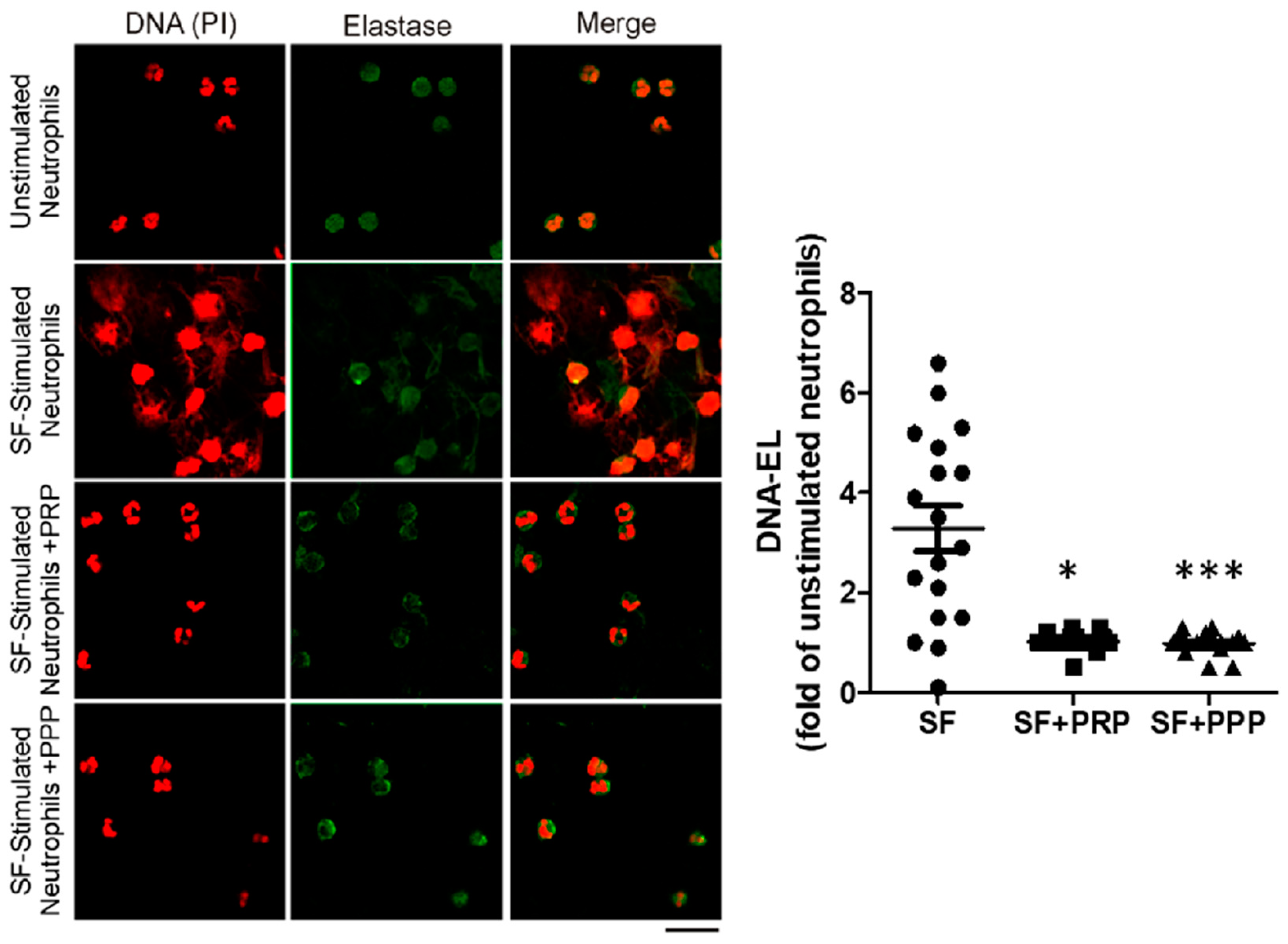 Ijms 25 09140 g005 Ijms 25 09140 g005