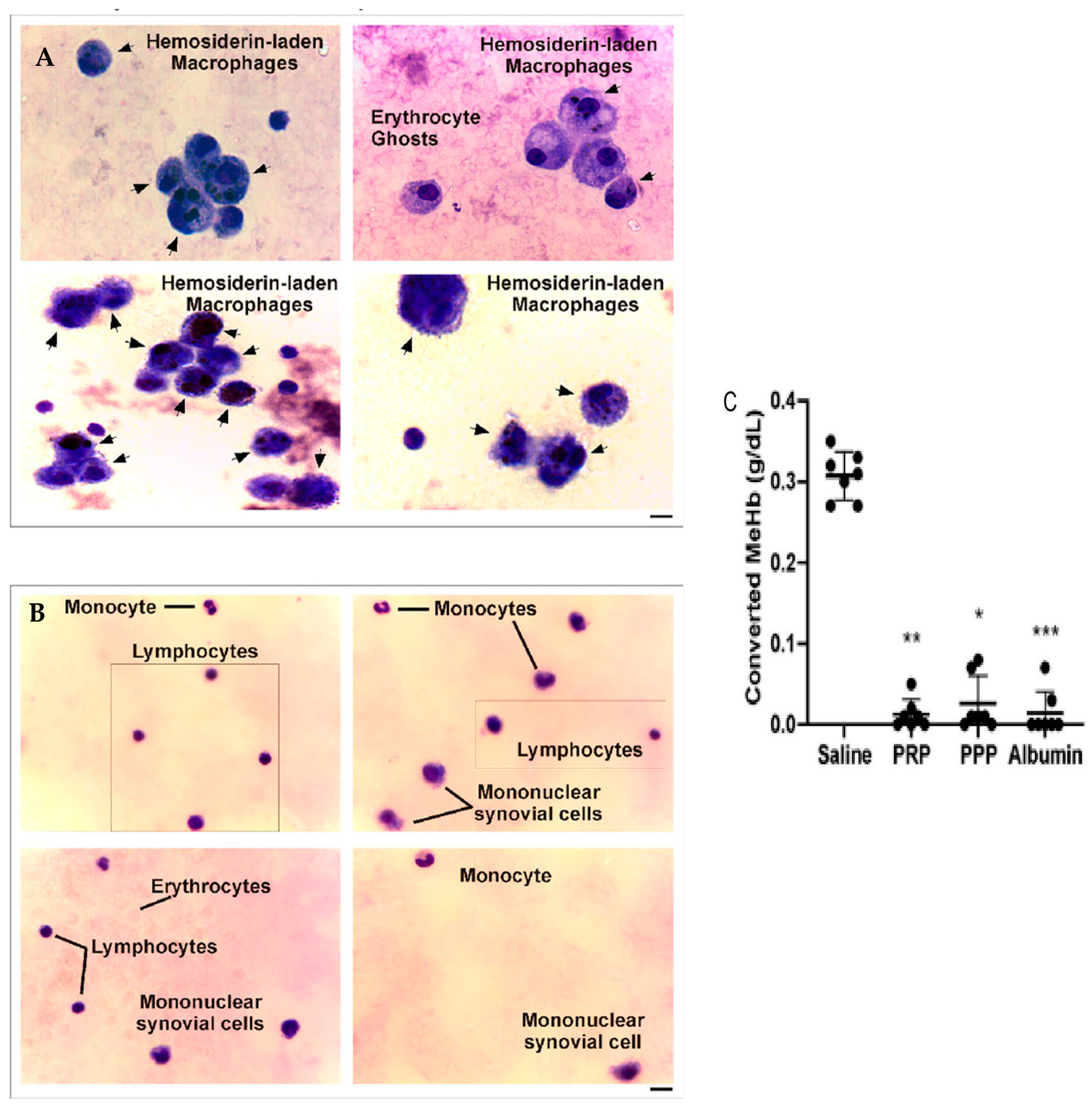 Ijms 25 09140 g006 Ijms 25 09140 g006