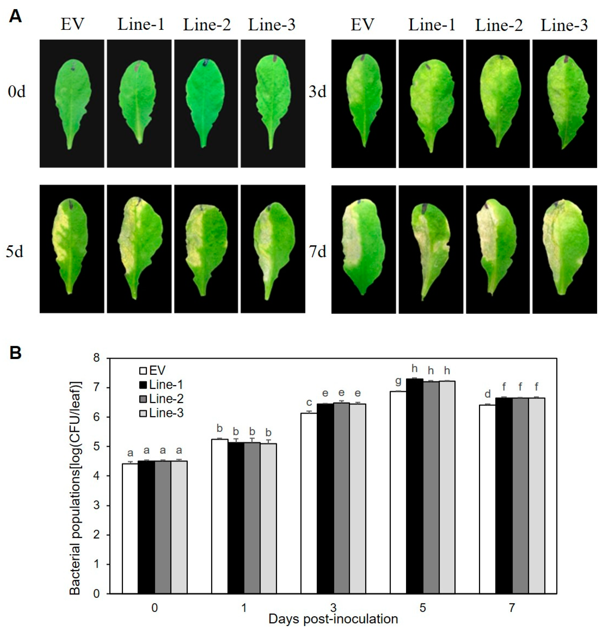 Ijms 25 09175 g001 Ijms 25 09175 g001