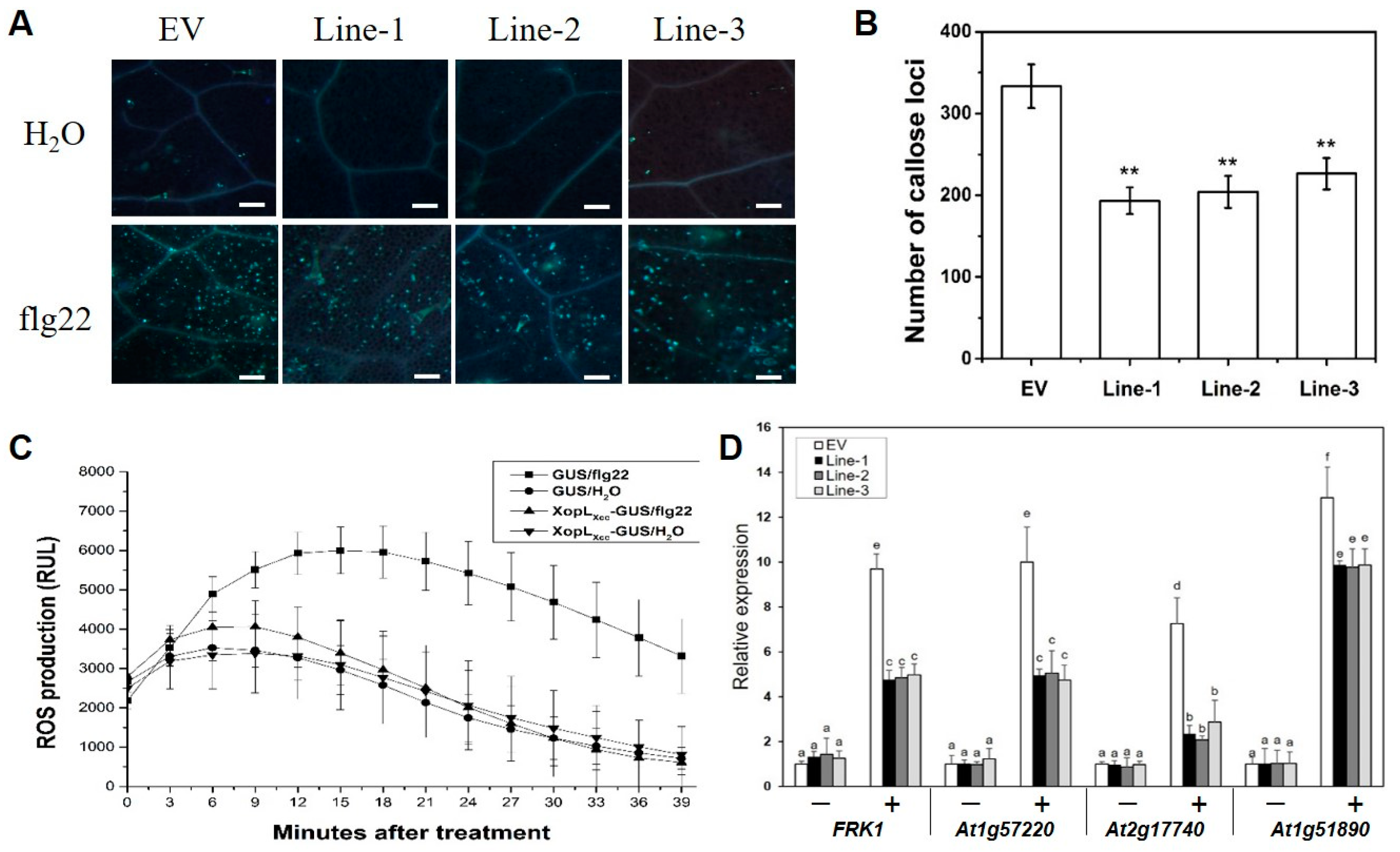 Ijms 25 09175 g002 Ijms 25 09175 g002
