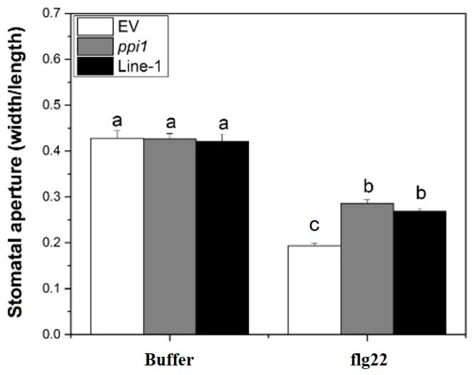 Ijms 25 09175 g008 Ijms 25 09175 g008