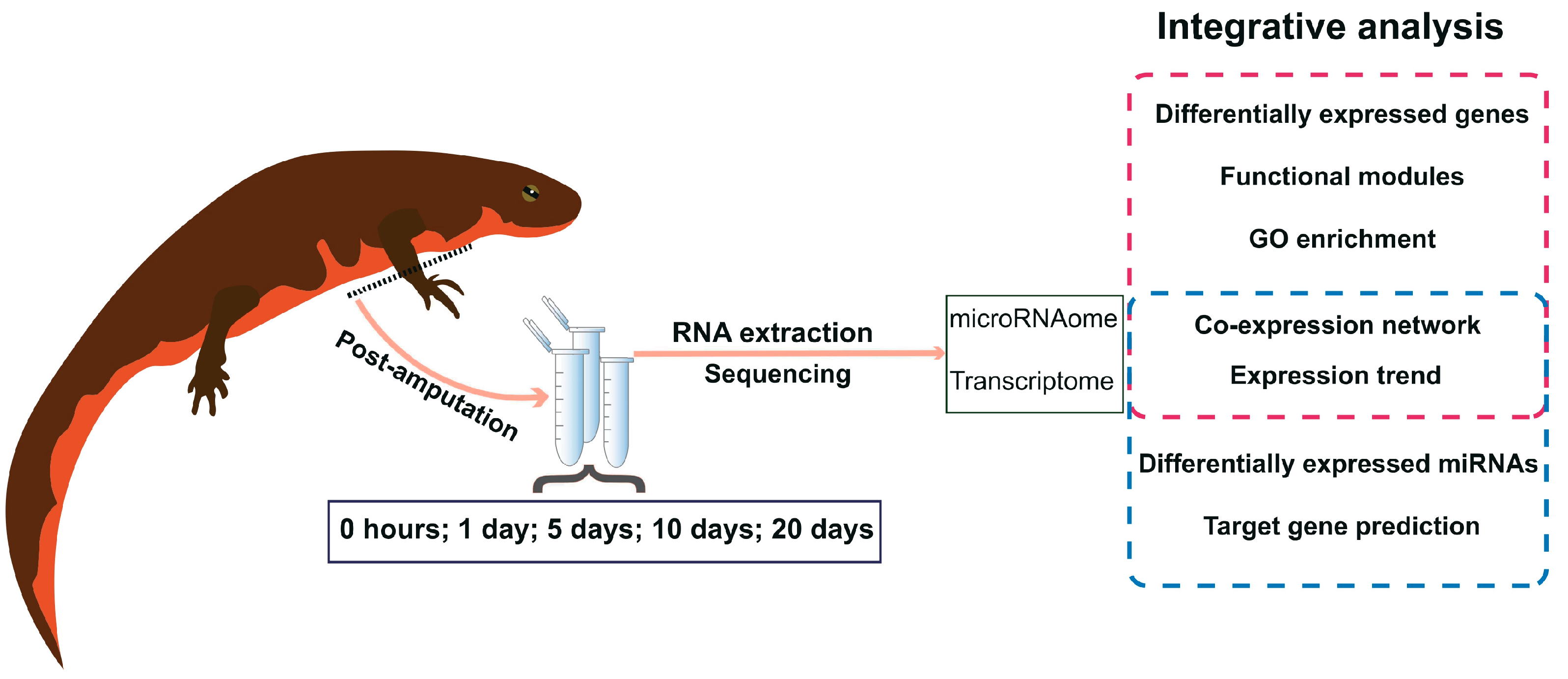 Ijms 25 09225 g001 Ijms 25 09225 g001