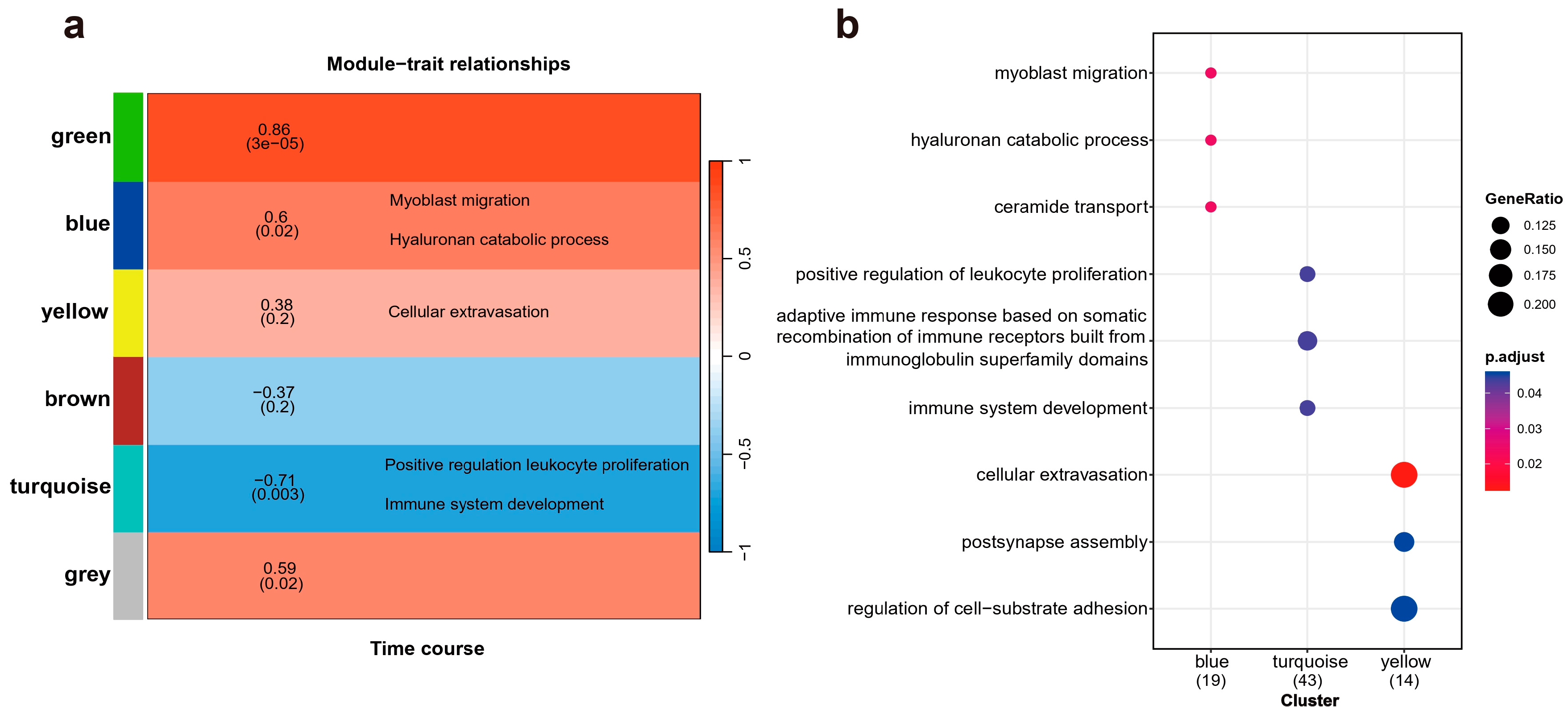 Ijms 25 09225 g003 Ijms 25 09225 g003