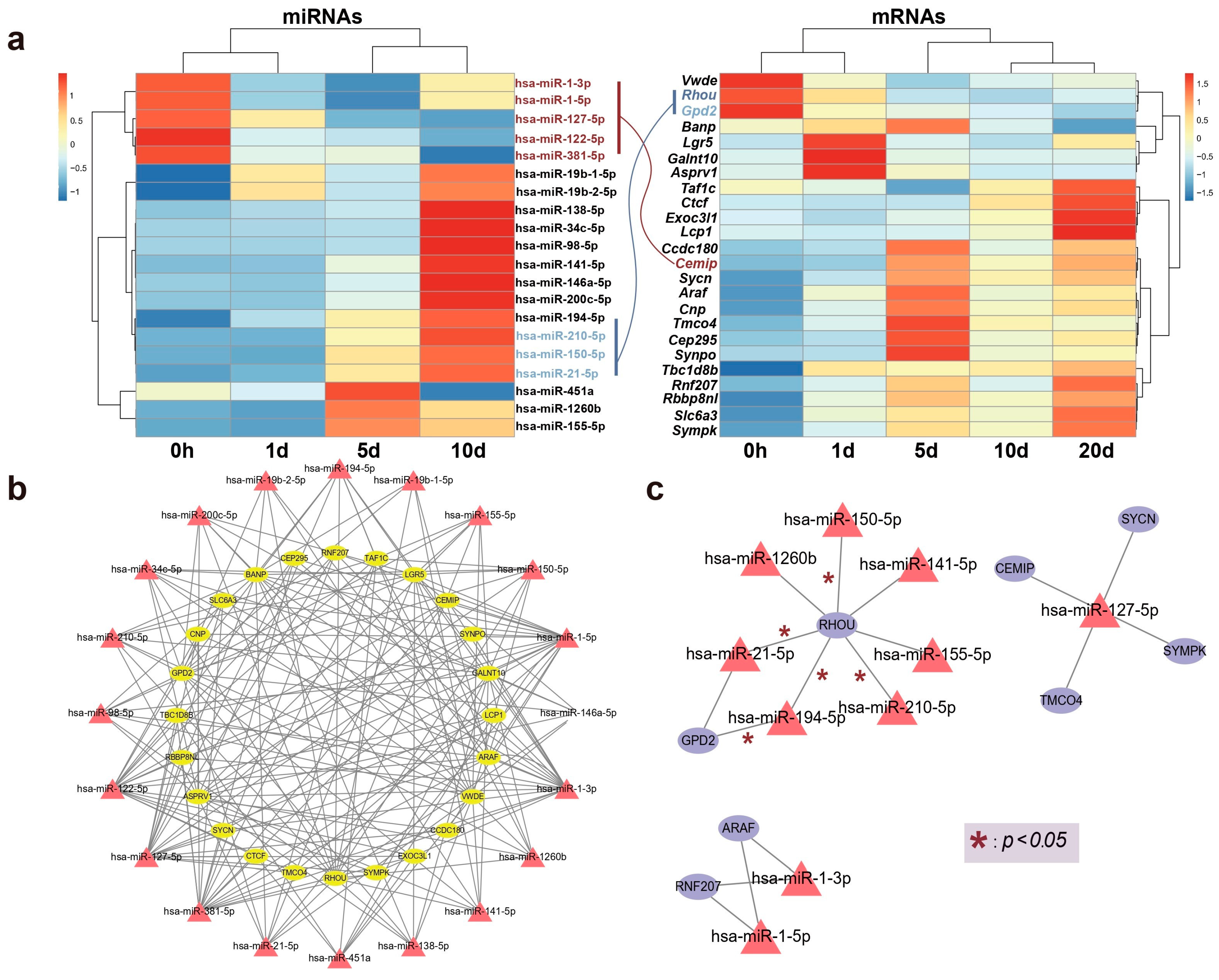 Ijms 25 09225 g004 Ijms 25 09225 g004