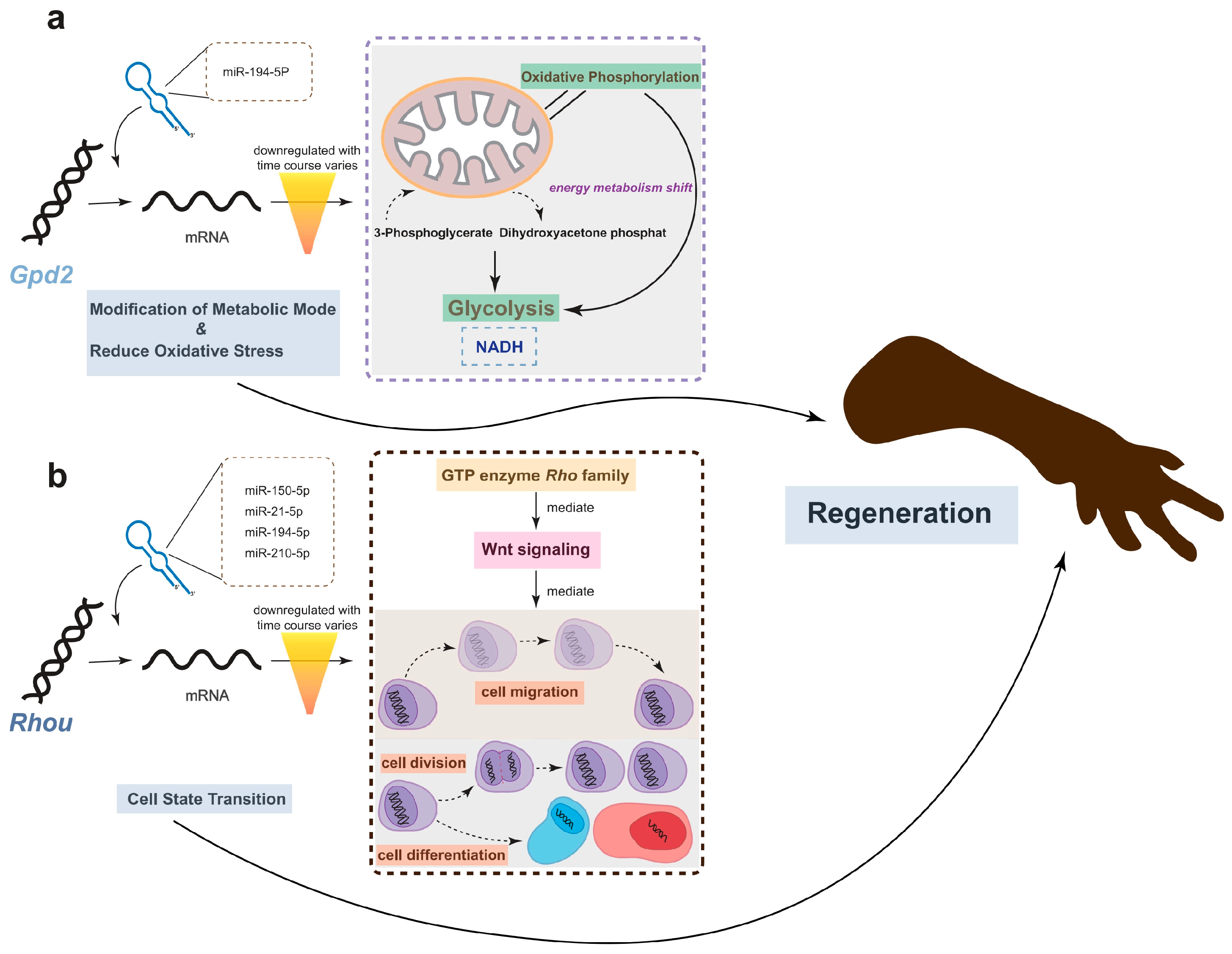 Ijms 25 09225 g005 Ijms 25 09225 g005