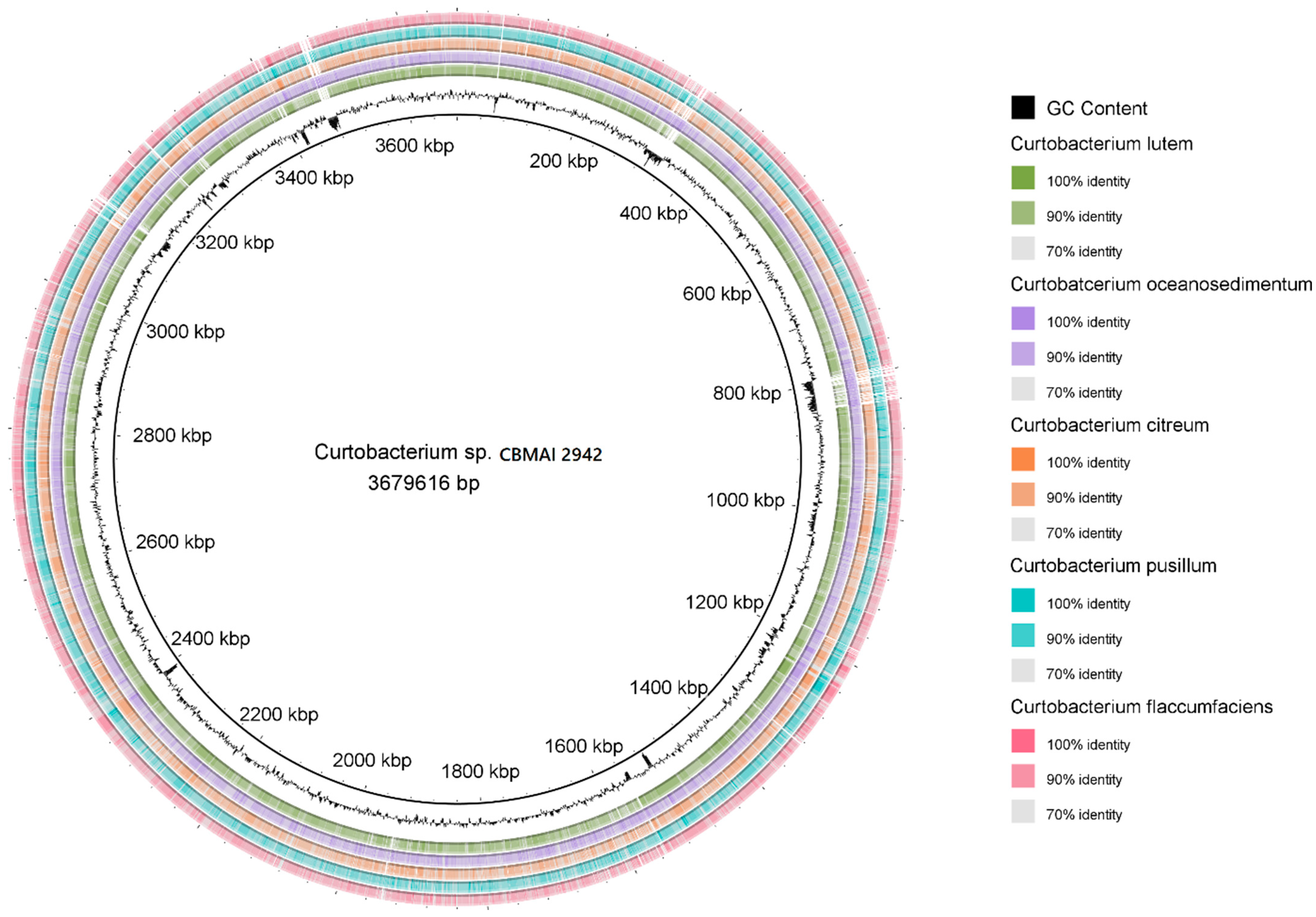 Ijms 25 09250 g002 Ijms 25 09250 g002