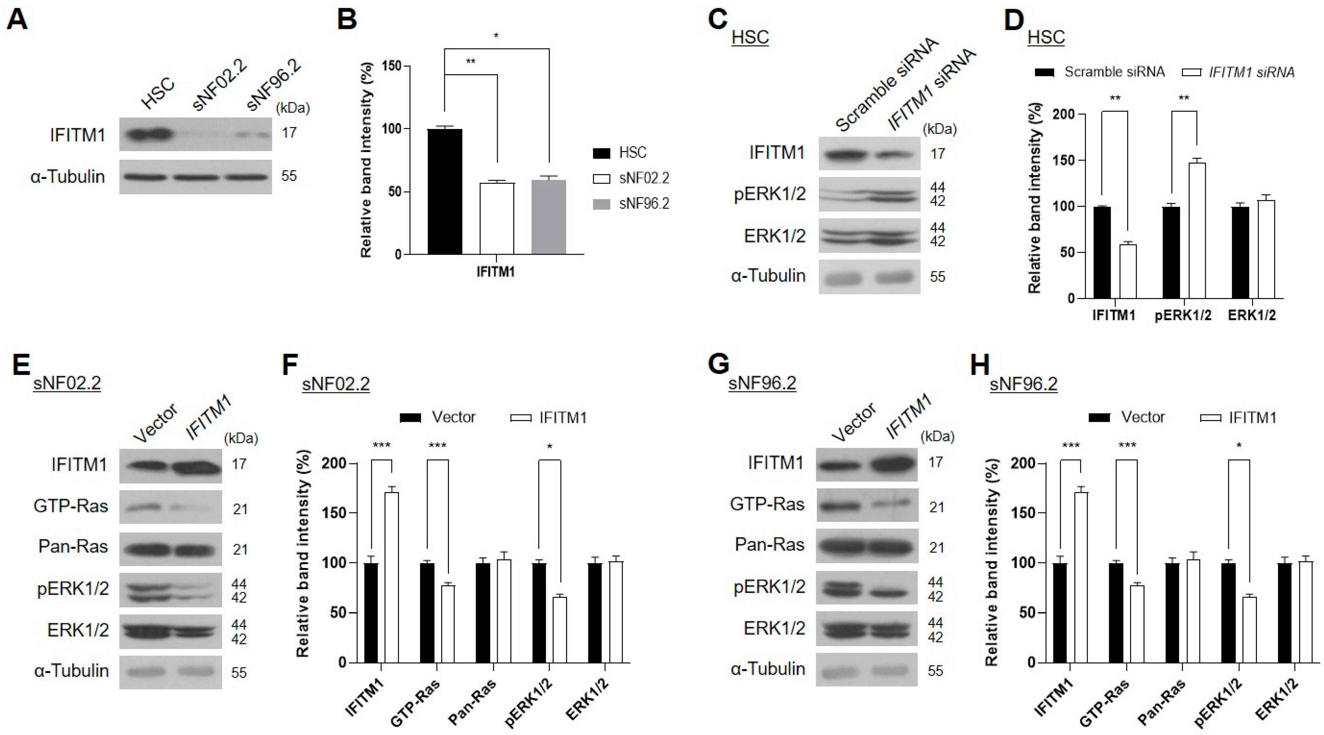 Ijms 25 09265 g002 Ijms 25 09265 g002
