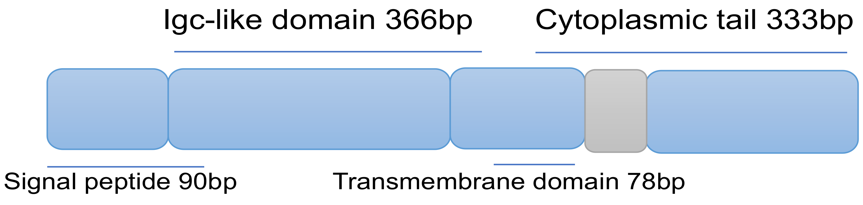 Ijms 25 09276 g003 Ijms 25 09276 g003