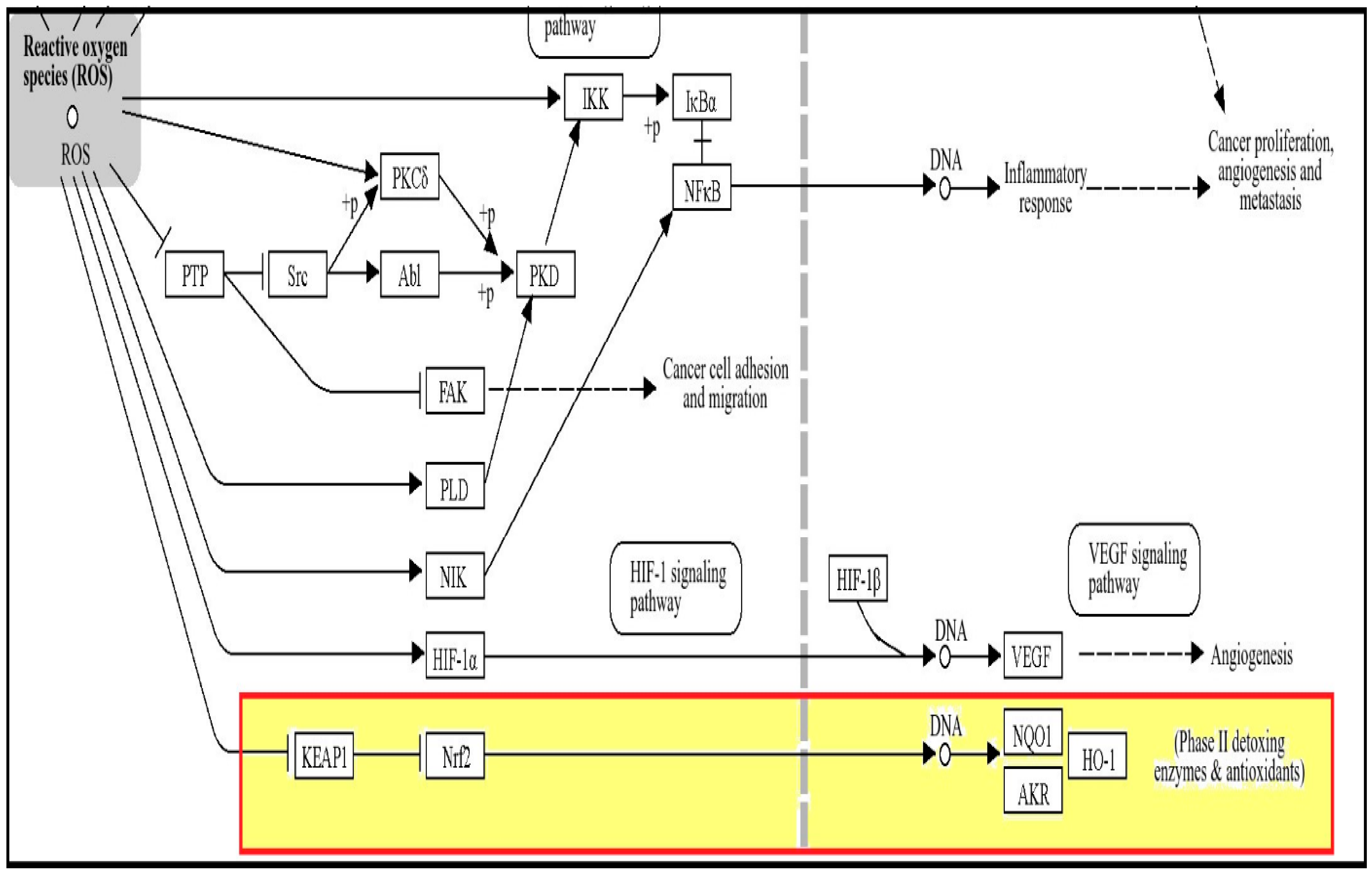 Ijms 25 09284 g001