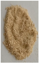 Ijms 25 09295 i002 Ijms 25 09295 i002