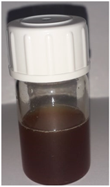 Ijms 25 09295 i004 Ijms 25 09295 i004