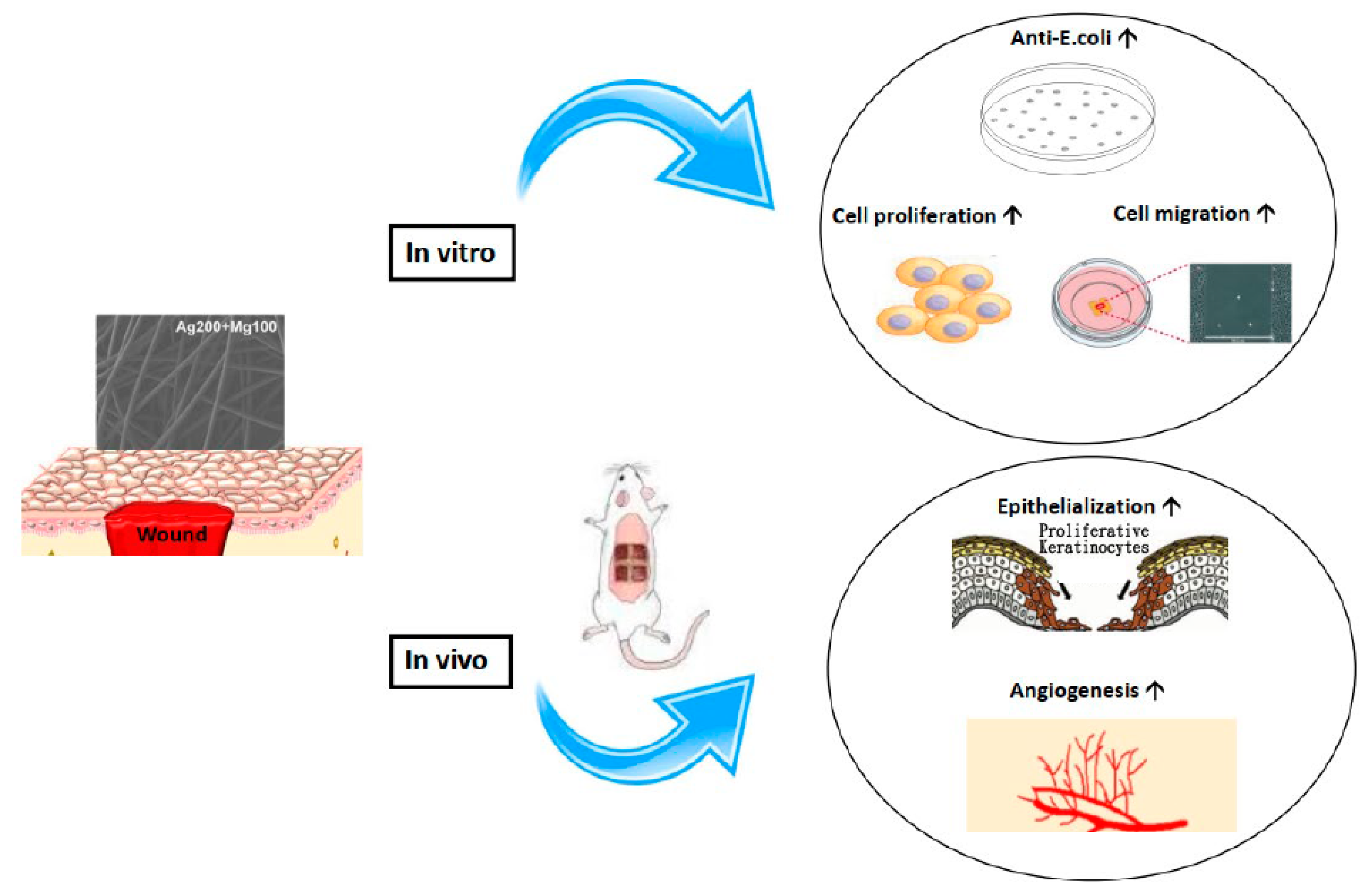 Ijms 25 09311 sch001