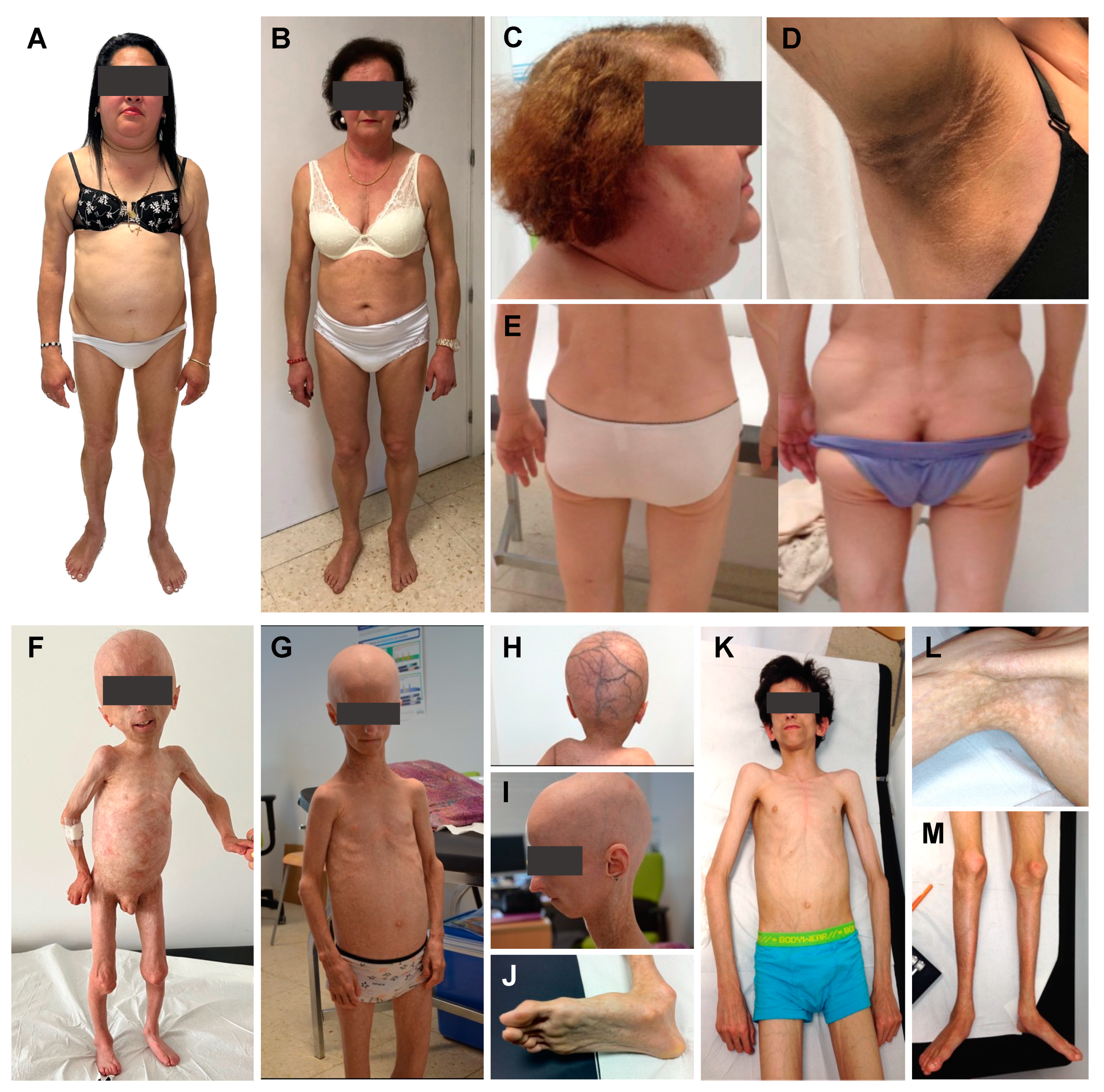 Ijms 25 09324 g001 Ijms 25 09324 g001