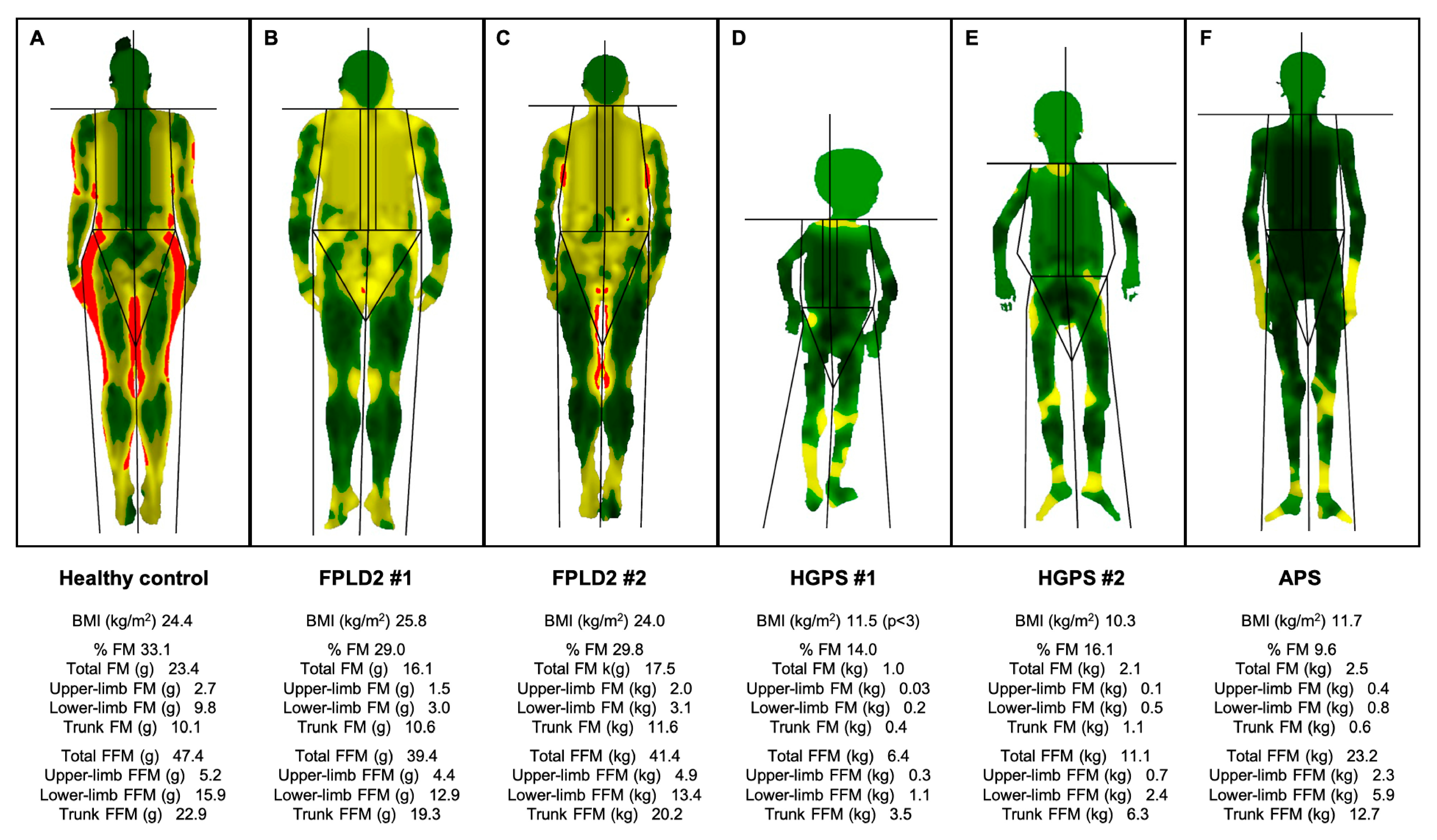 Ijms 25 09324 g002 Ijms 25 09324 g002