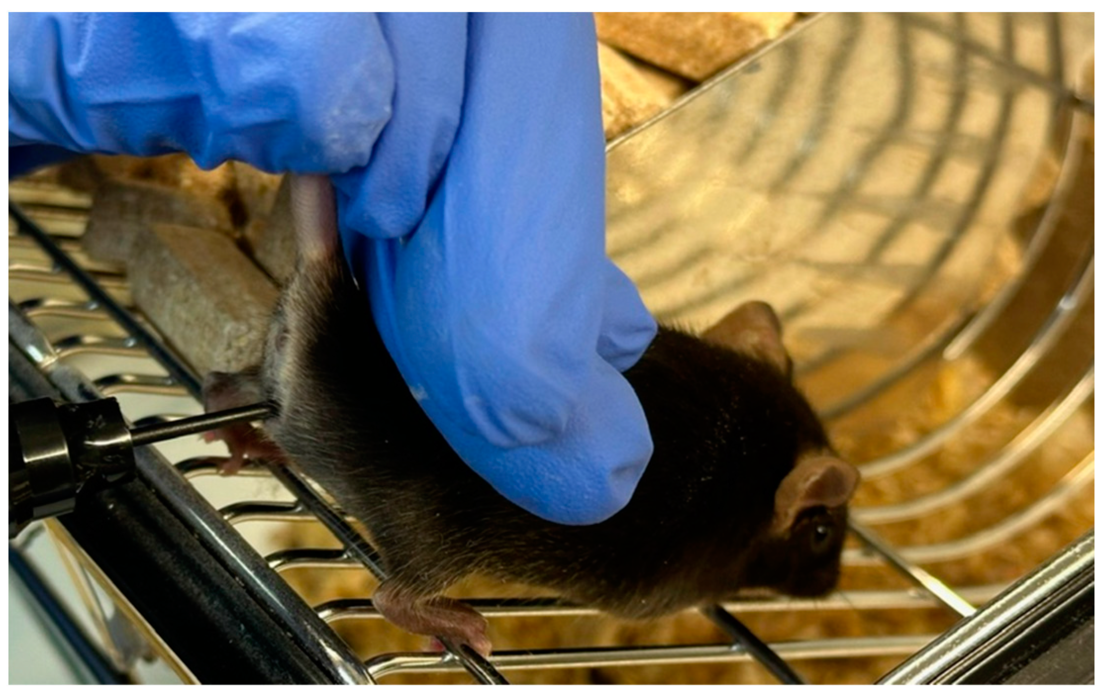 Ijms 25 09429 g003 Ijms 25 09429 g003