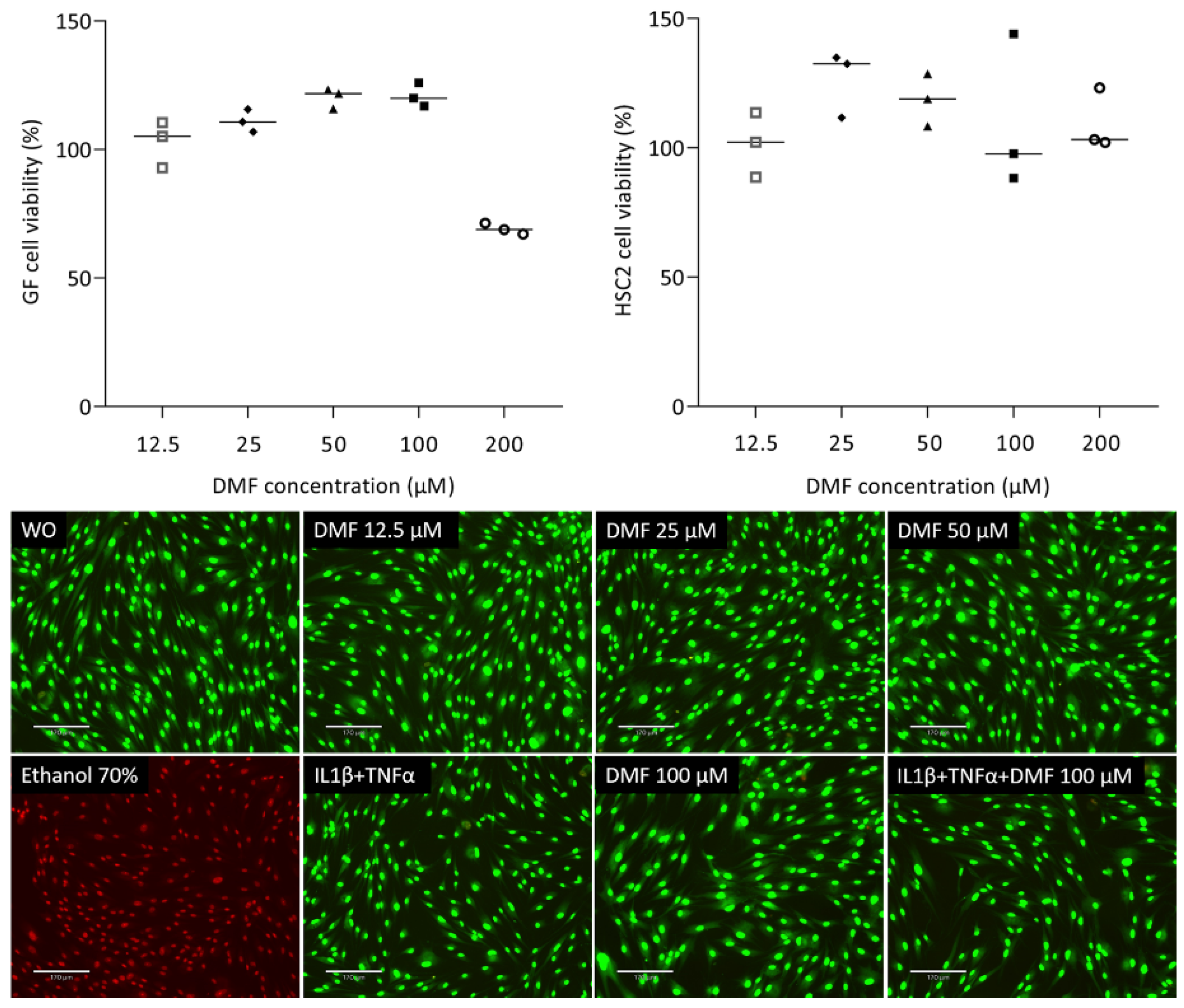 Ijms 25 09485 g001 Ijms 25 09485 g001