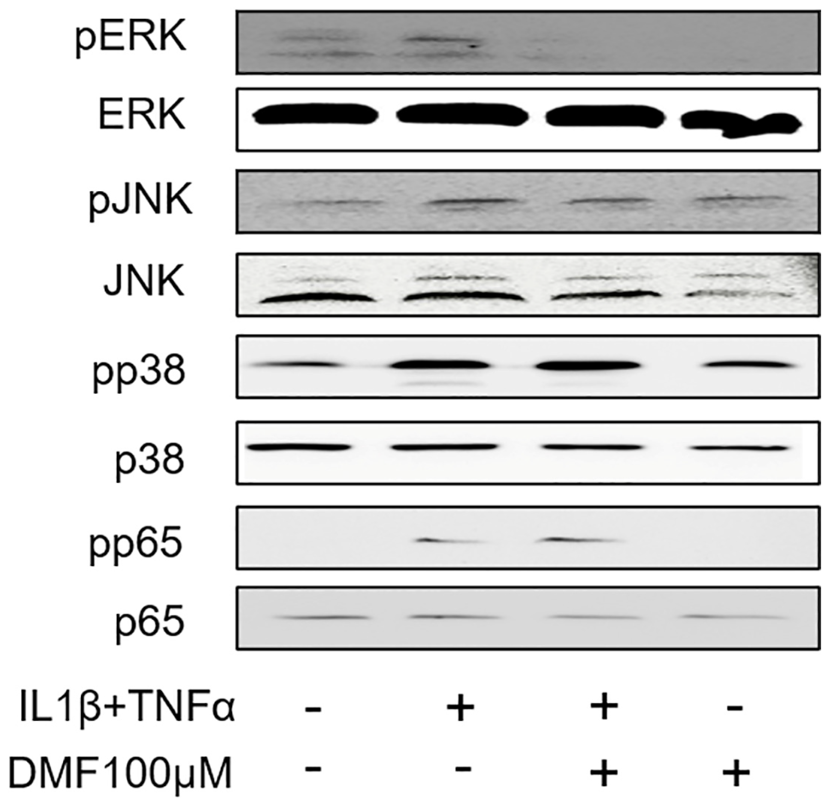 Ijms 25 09485 g005 Ijms 25 09485 g005