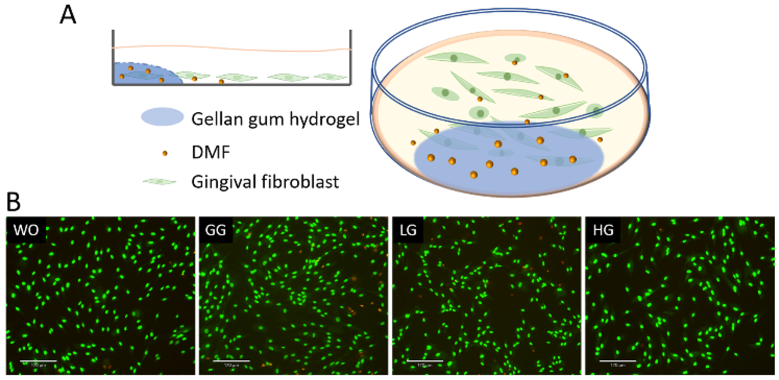 Ijms 25 09485 g009 Ijms 25 09485 g009