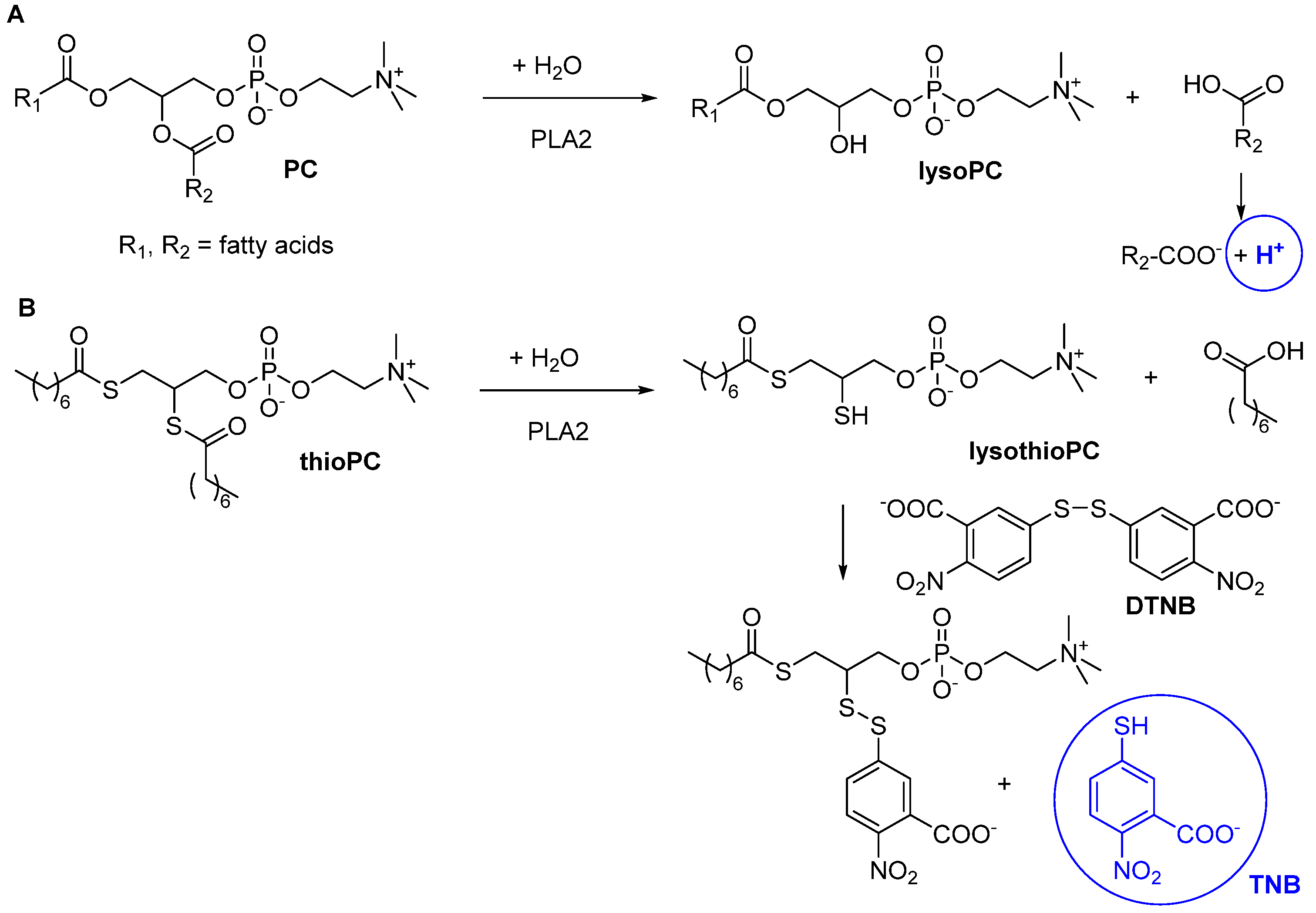 Ijms 25 09517 sch001