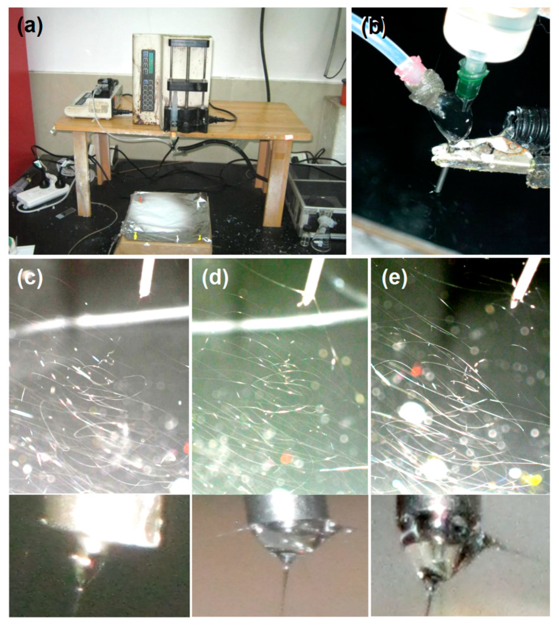 Ijms 25 09524 g003 Ijms 25 09524 g003