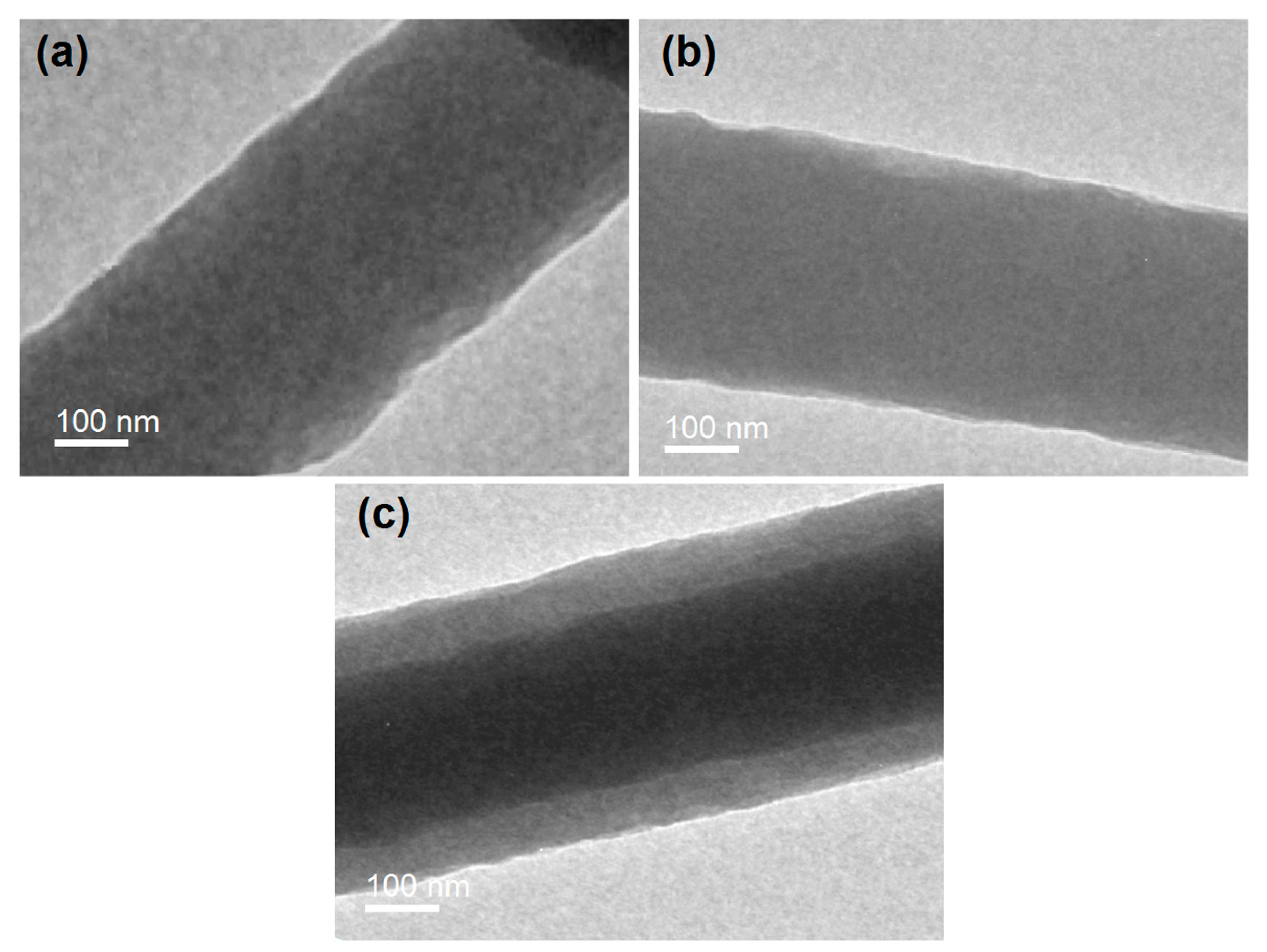 Ijms 25 09524 g005 Ijms 25 09524 g005