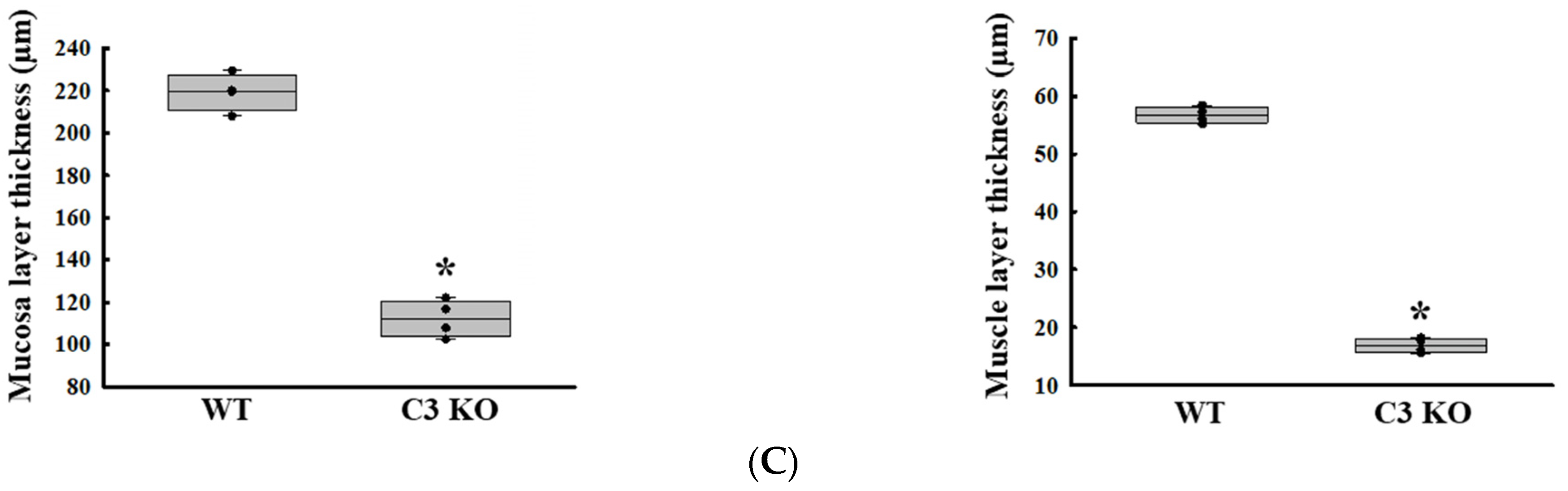 Ijms 25 09530 g001b Ijms 25 09530 g001b