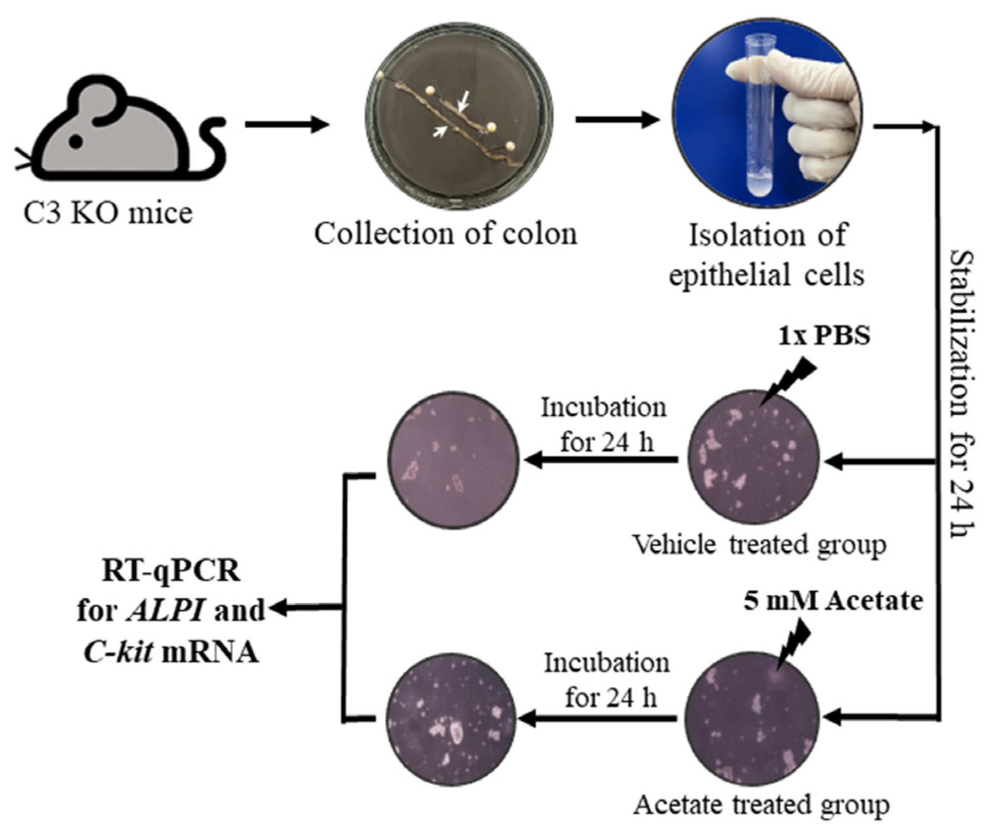 Ijms 25 09530 g010 Ijms 25 09530 g010