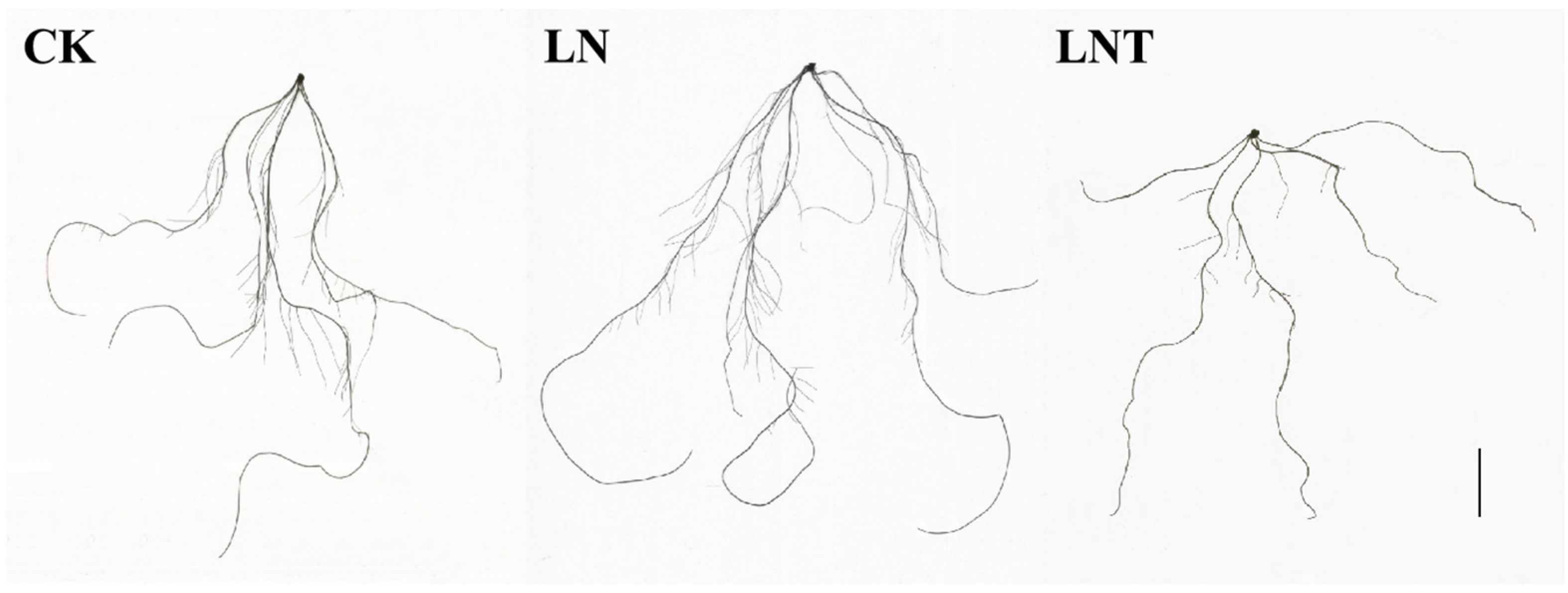 Ijms 25 09566 g002 Ijms 25 09566 g002